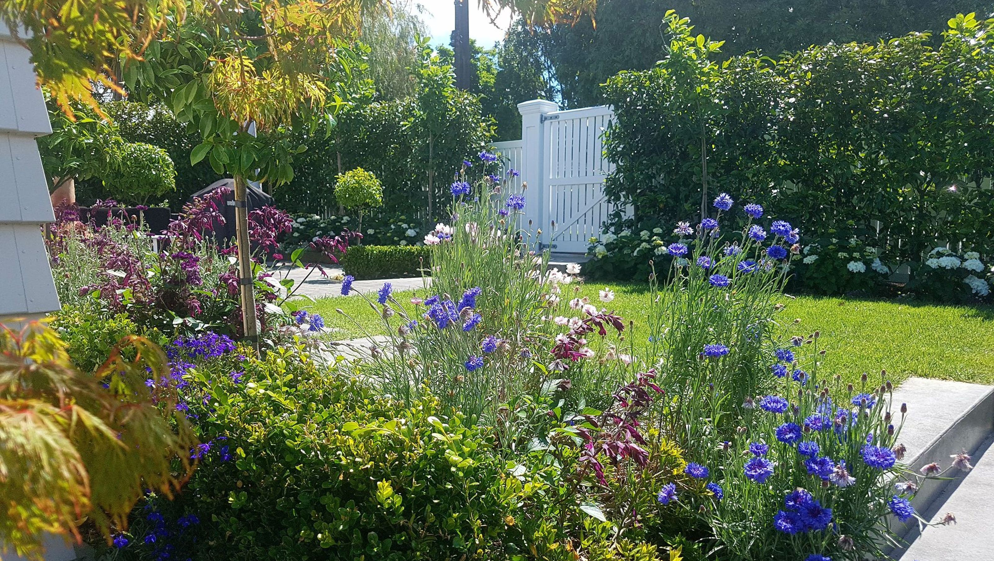 Kitenui Ave