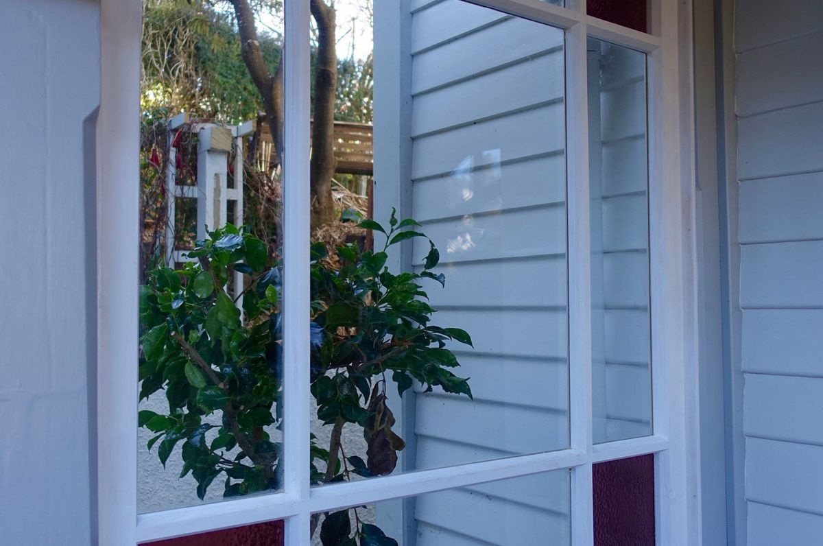 Maori Hill Window