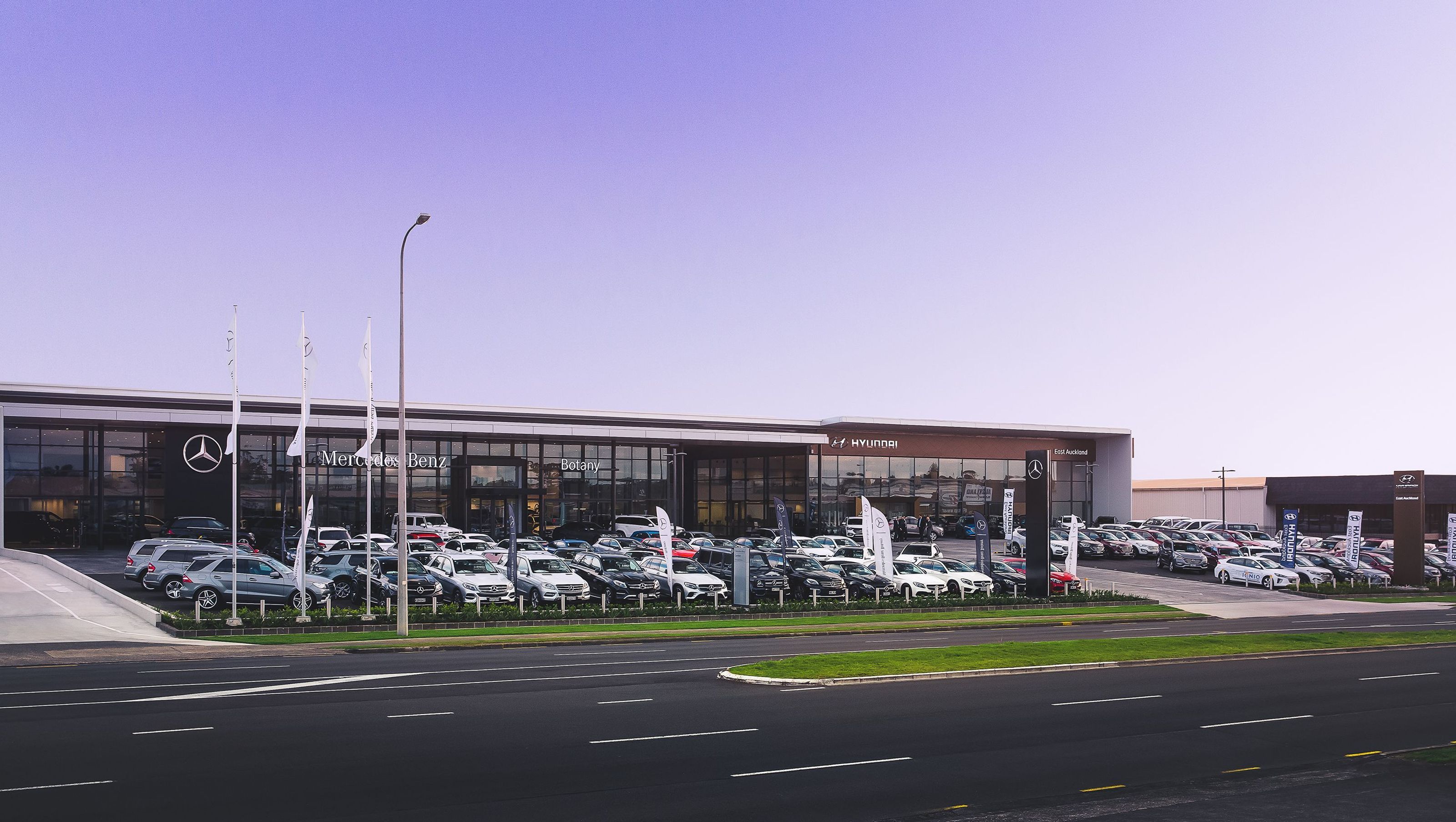 Mercedes Benz Botany