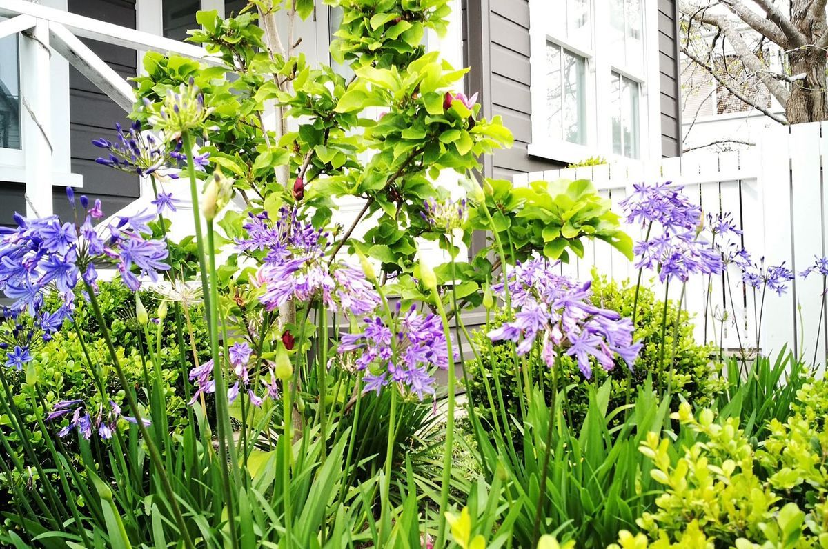 Newmarket Garden