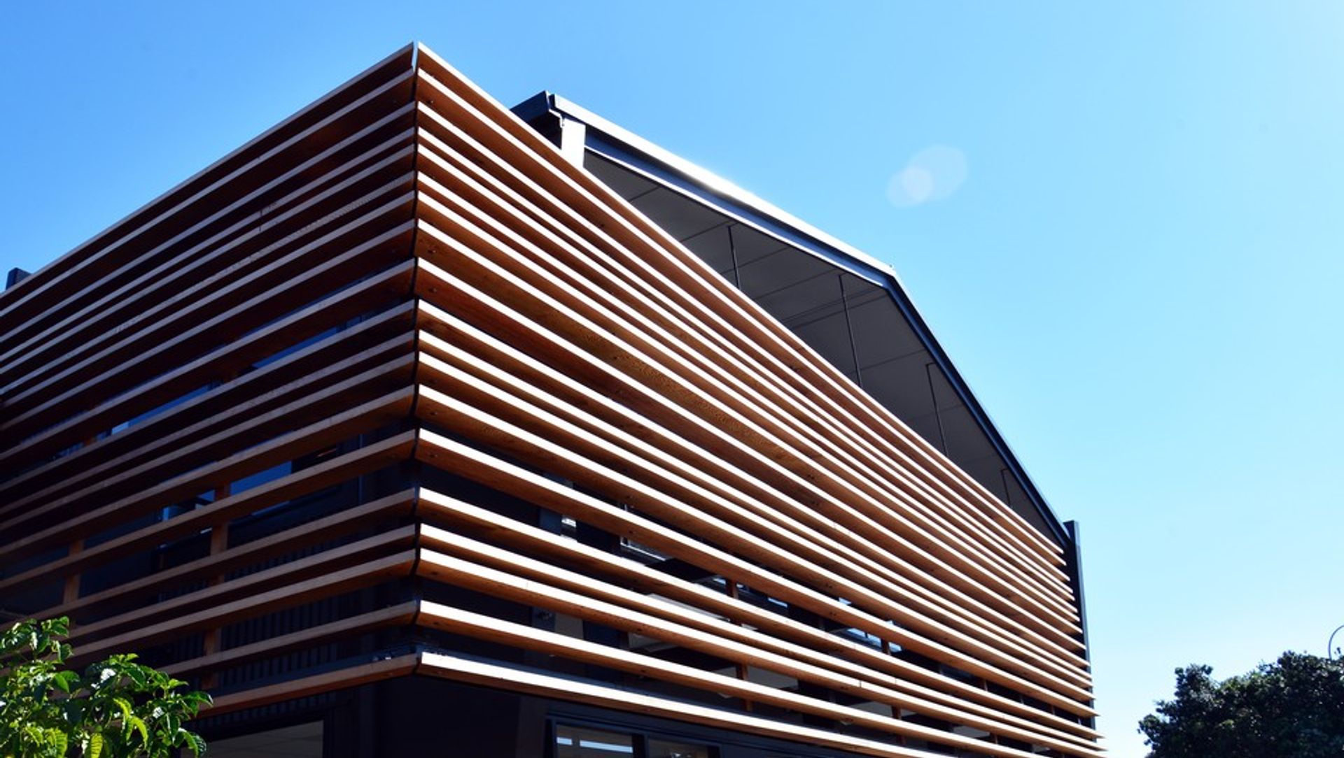 Orewa Office banner