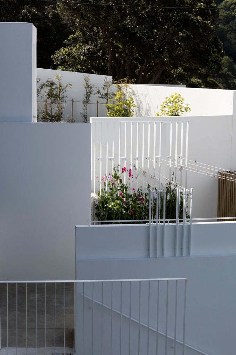 The clothes line area is shared by both apartments.