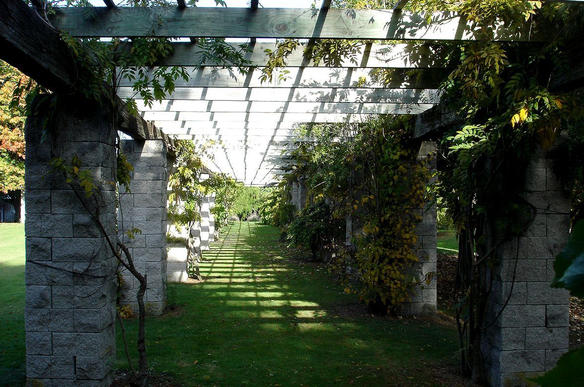 Taupo Garden