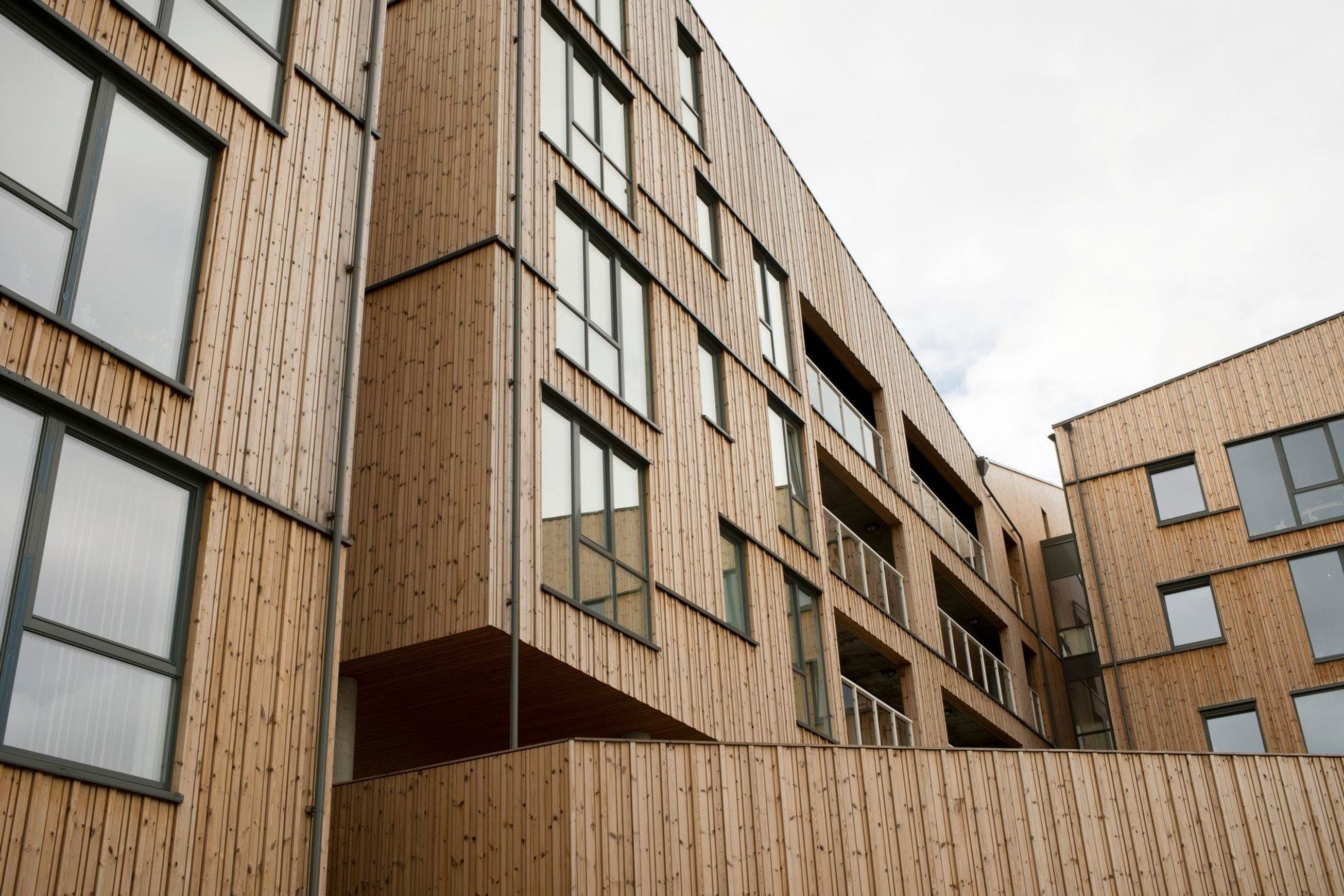 Thermory Nordic Pine Cladding