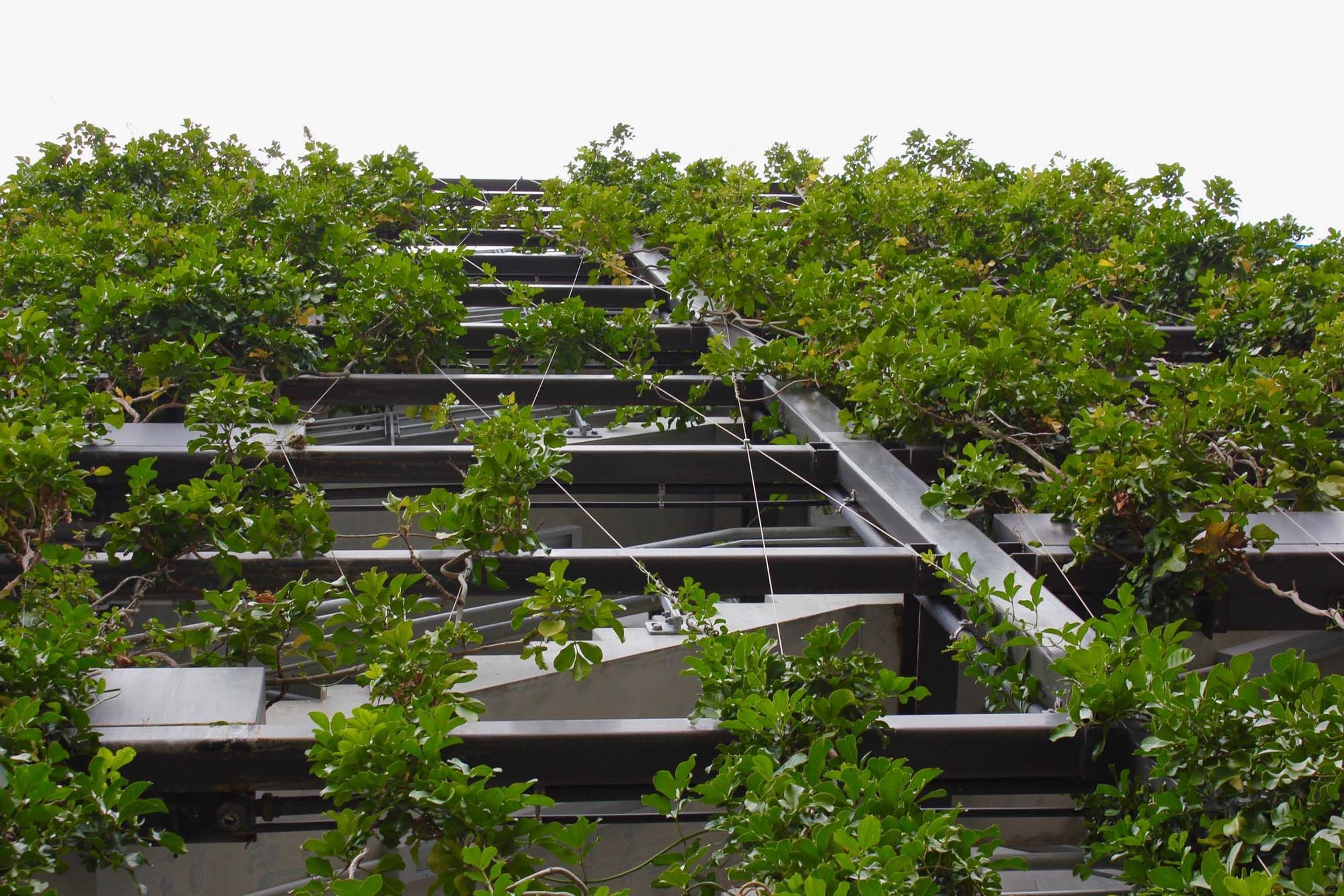 SRS Green Facades | Screens