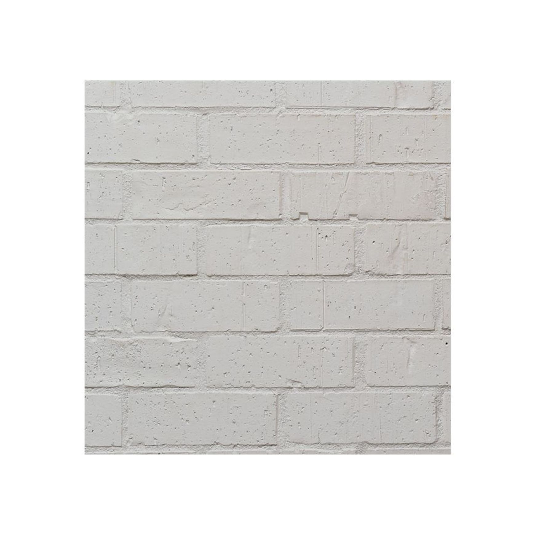 Wirecut Painter Brick