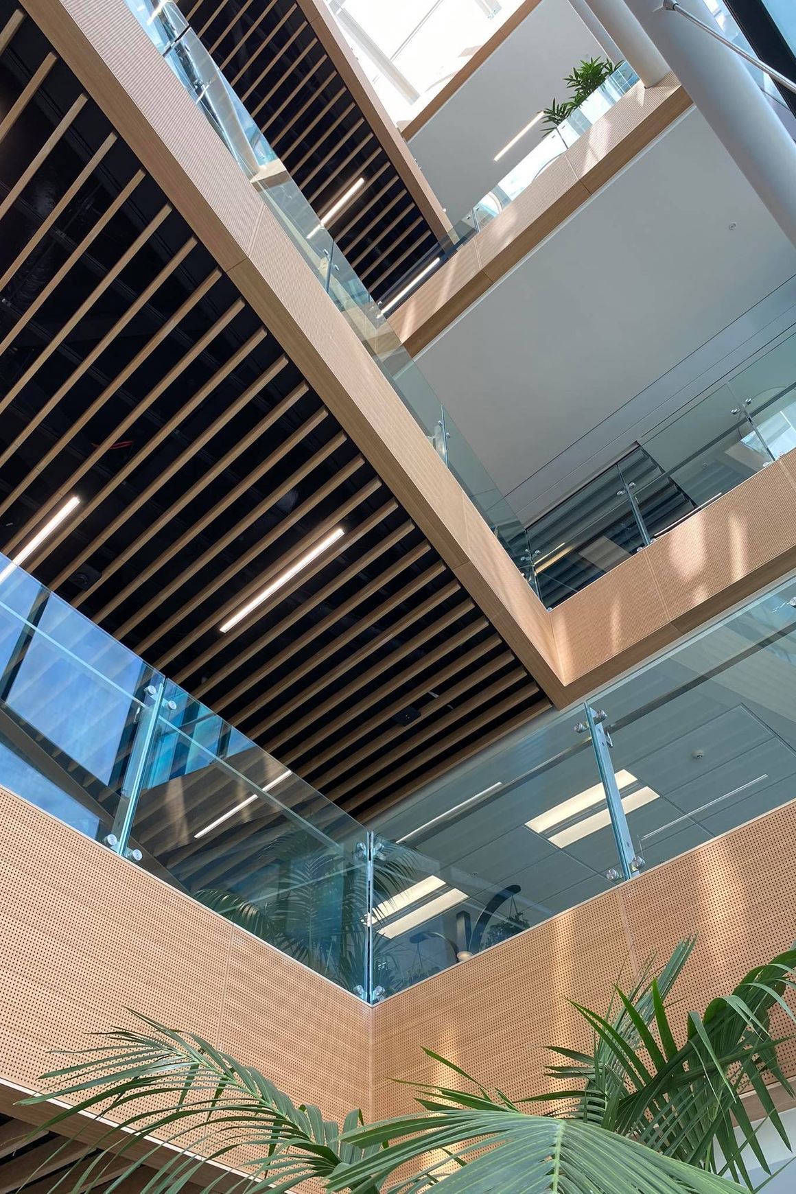 Décorslat Timber Battens - Big River Panels