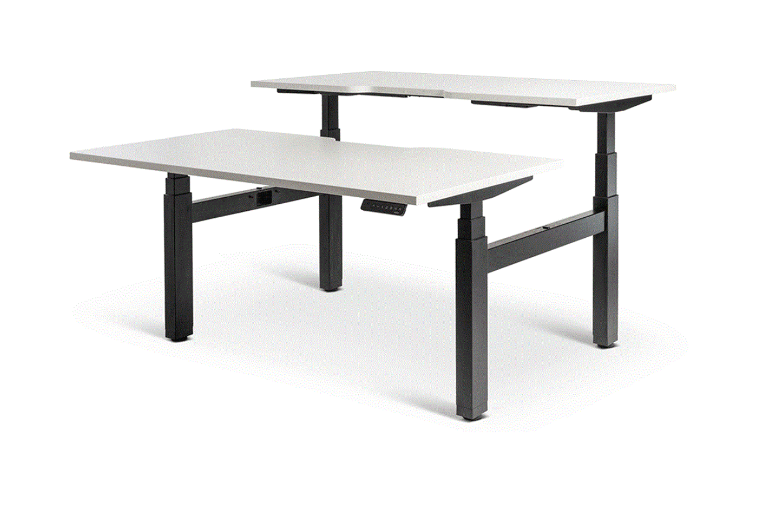 Enhance Electric Height Adjustable Shared Desk
