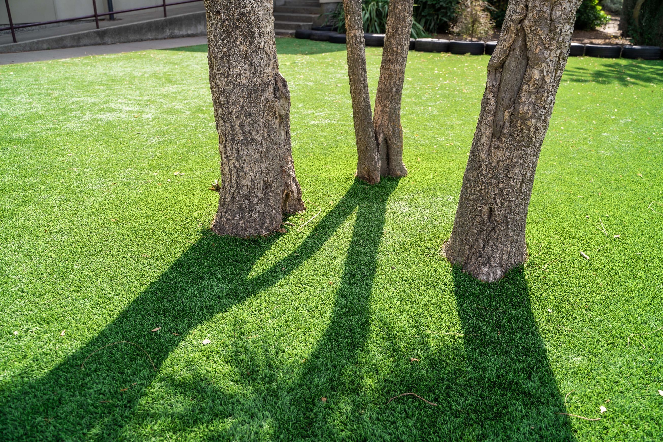 Schools Artificial Turf | Landscaping Grass by SmartGrass