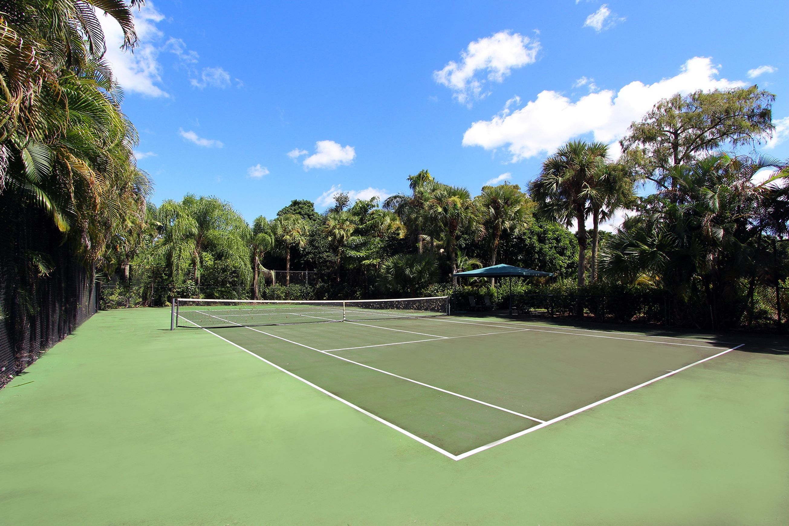Tennis Artificial Turf | Sports Grass by SmartGrass