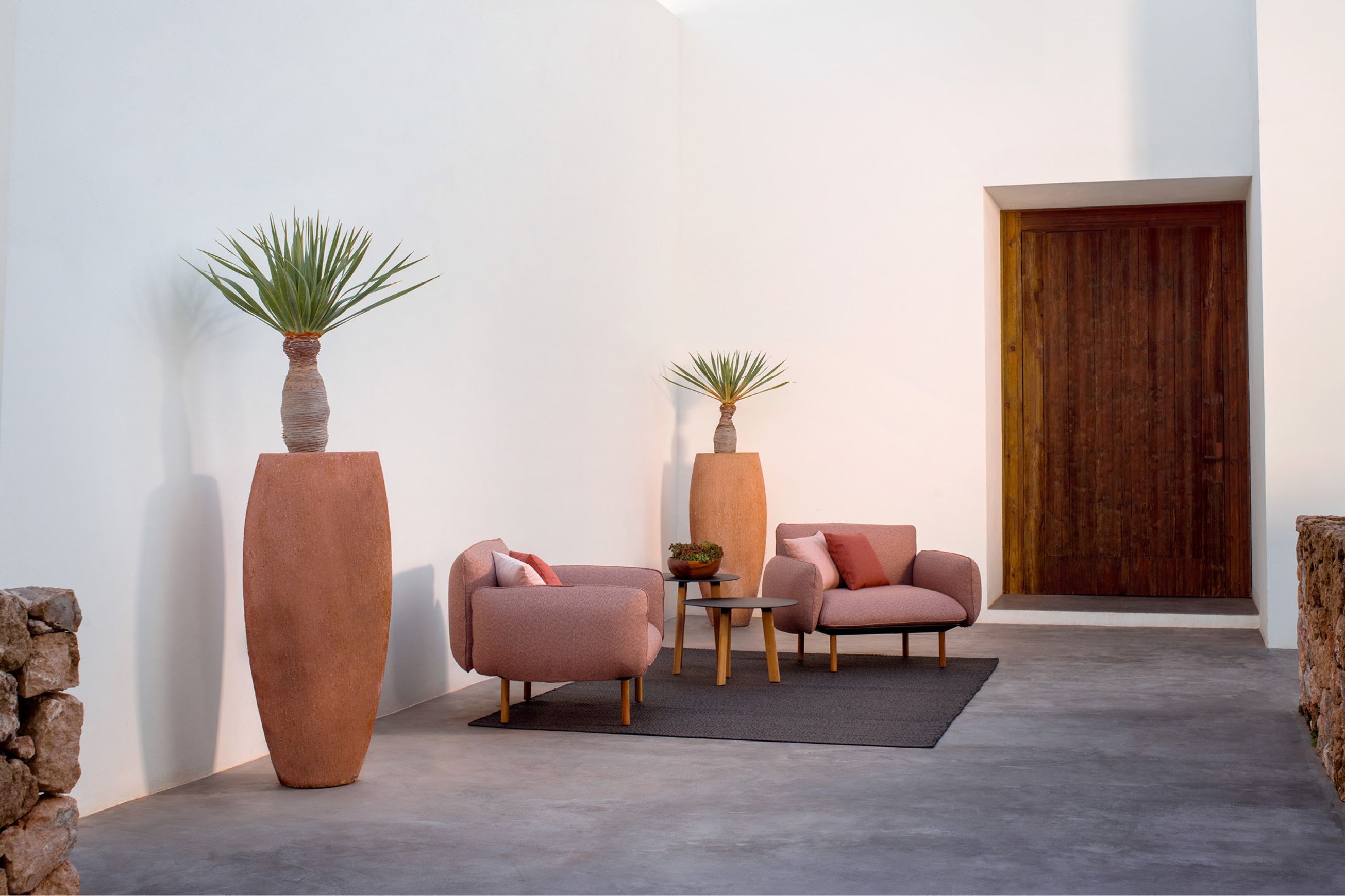 TRIBU Collection