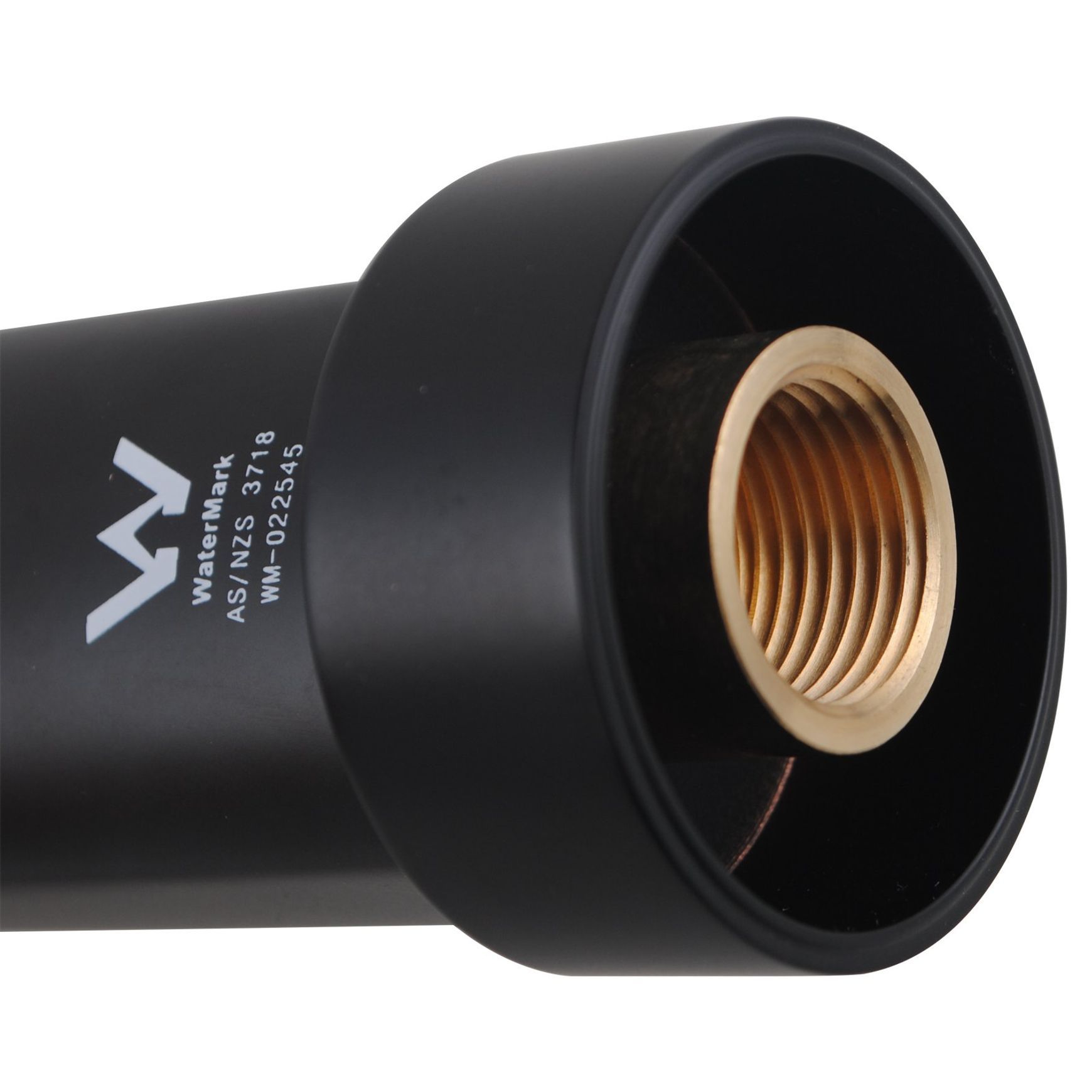 Rushy Wall Spout Matte Black