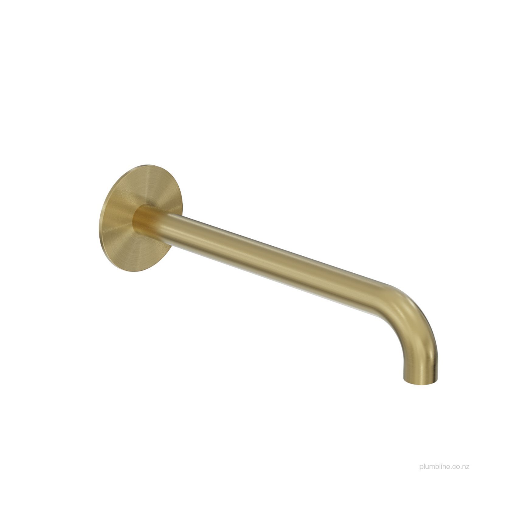 Oli 316 Wall Mount Spout 250mm