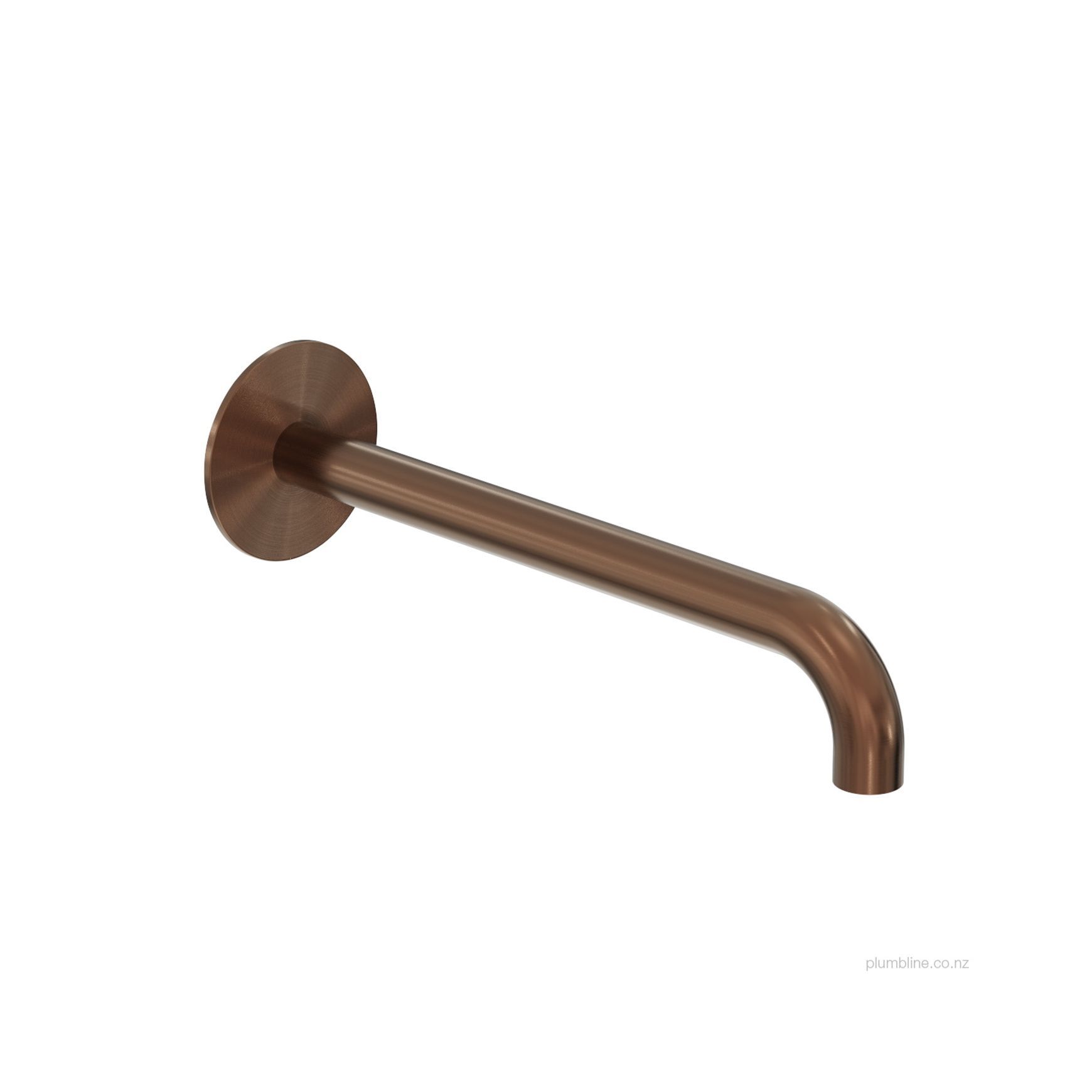 Oli 316 Wall Mount Spout 250mm