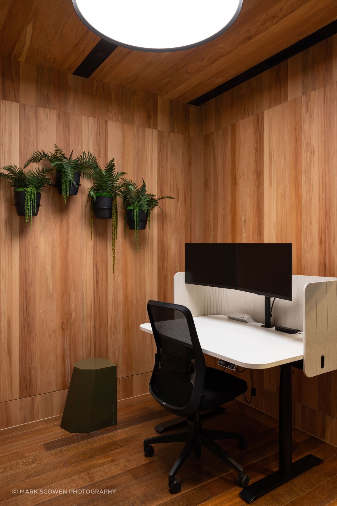 Prime Toitū Veneer Interior Panels