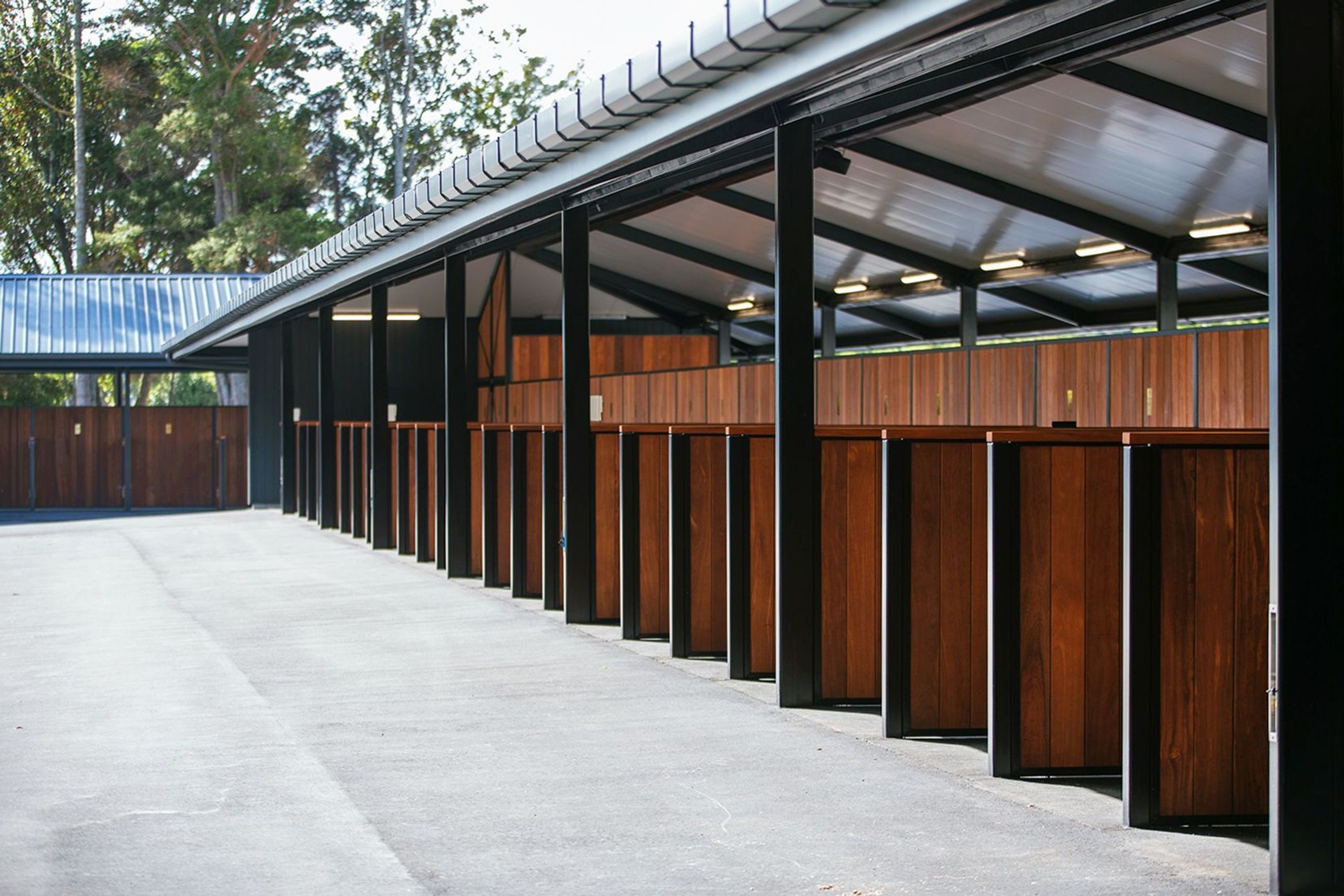 JSC Cumaru Timber
