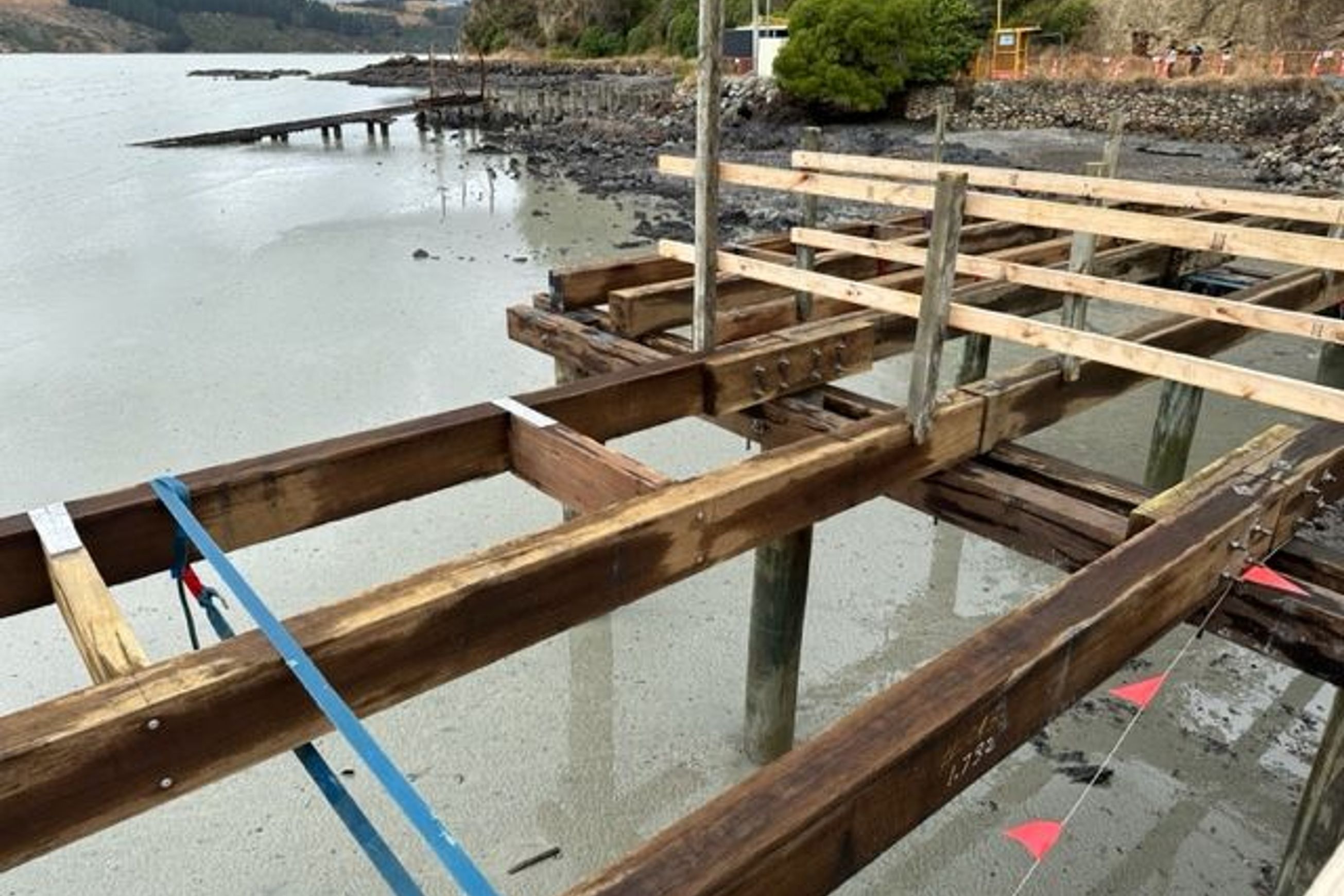 Marine Hardwood