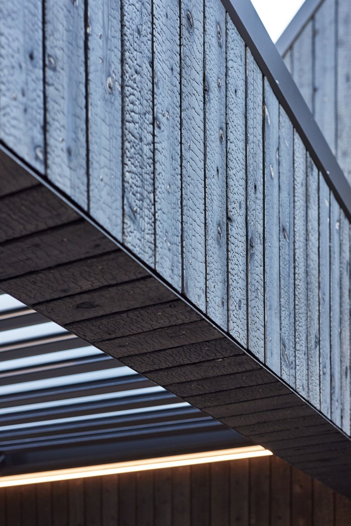 Japanese Cedar Exterior Cladding