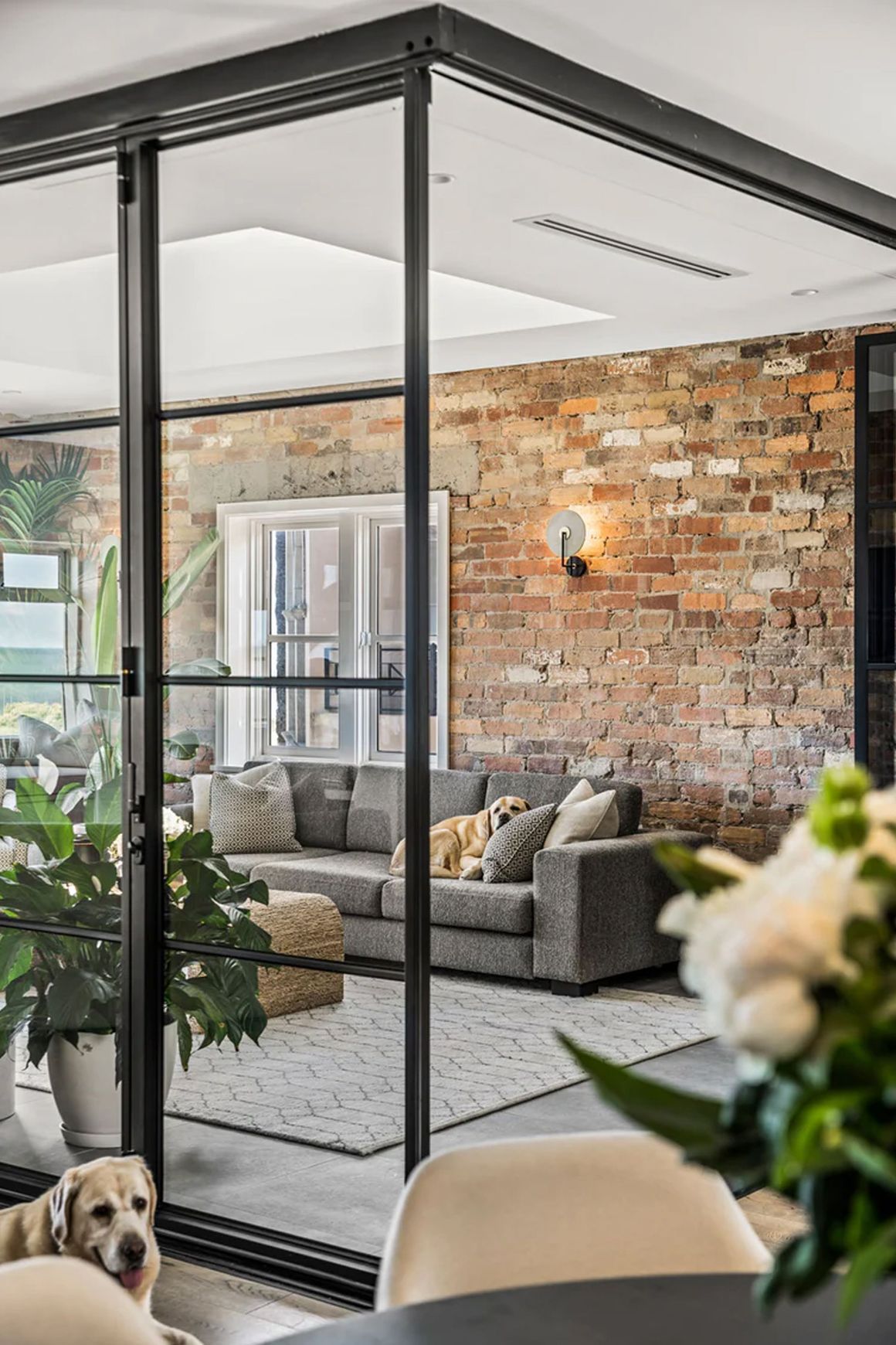 Steel Frame Glass Bifold Doors - Galvanised FPS50