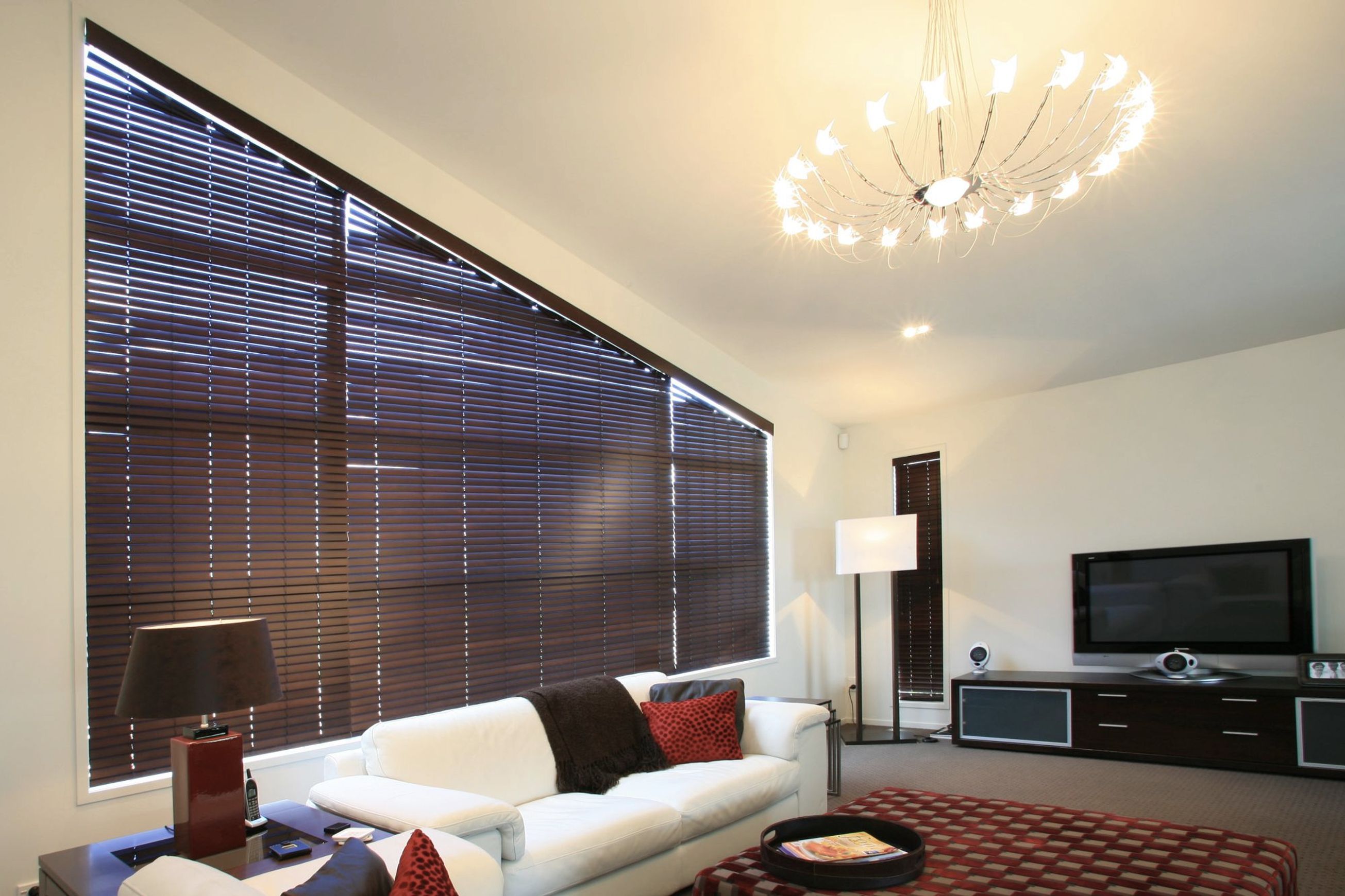 Specialty Blinds