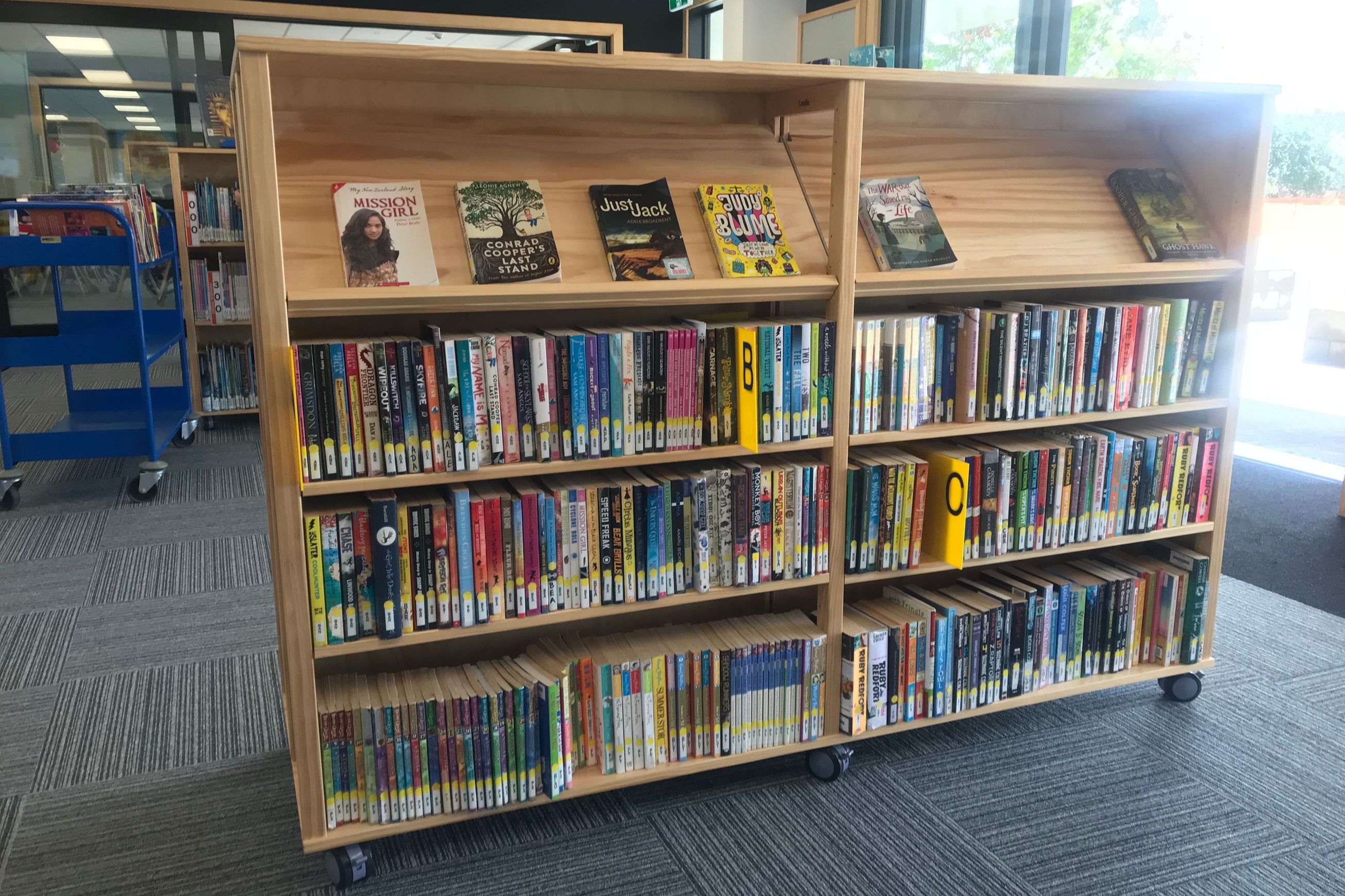 Library Shelving by Lundia