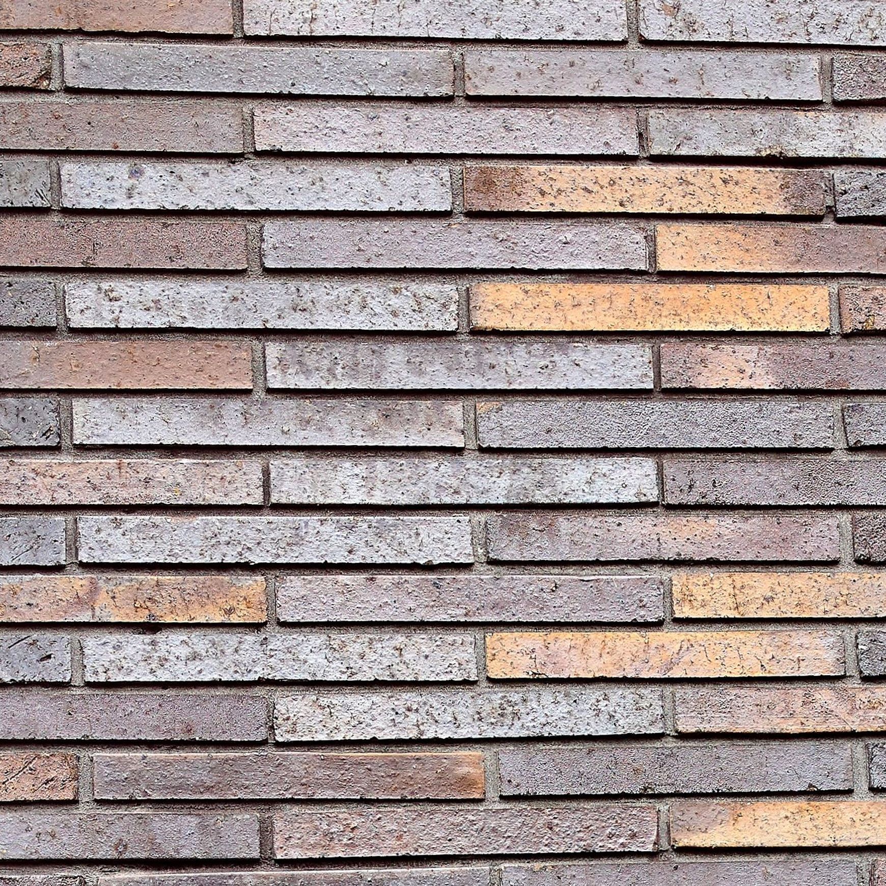 Krause Emperor Bricks