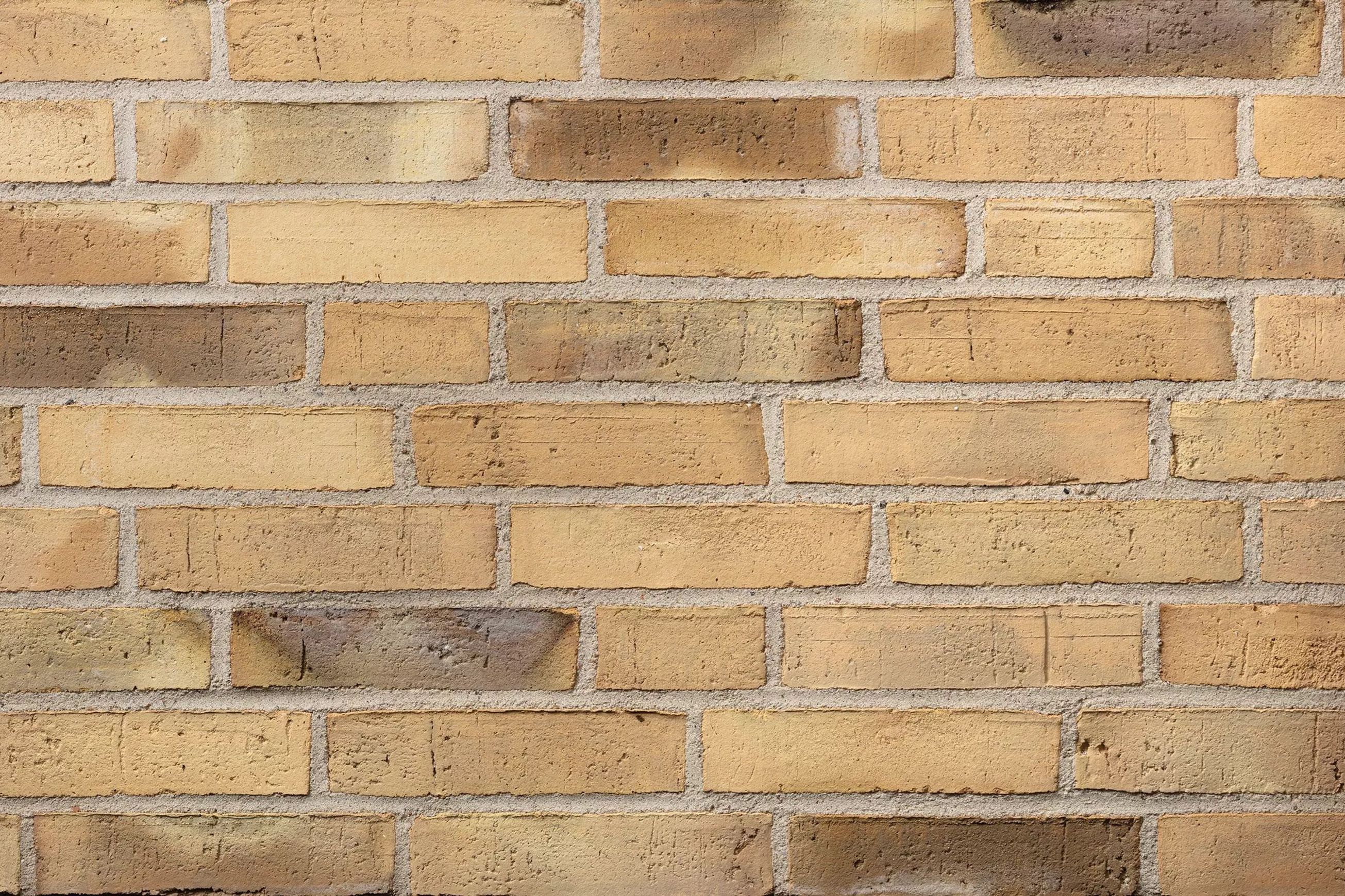 Petersen Danish Bricks