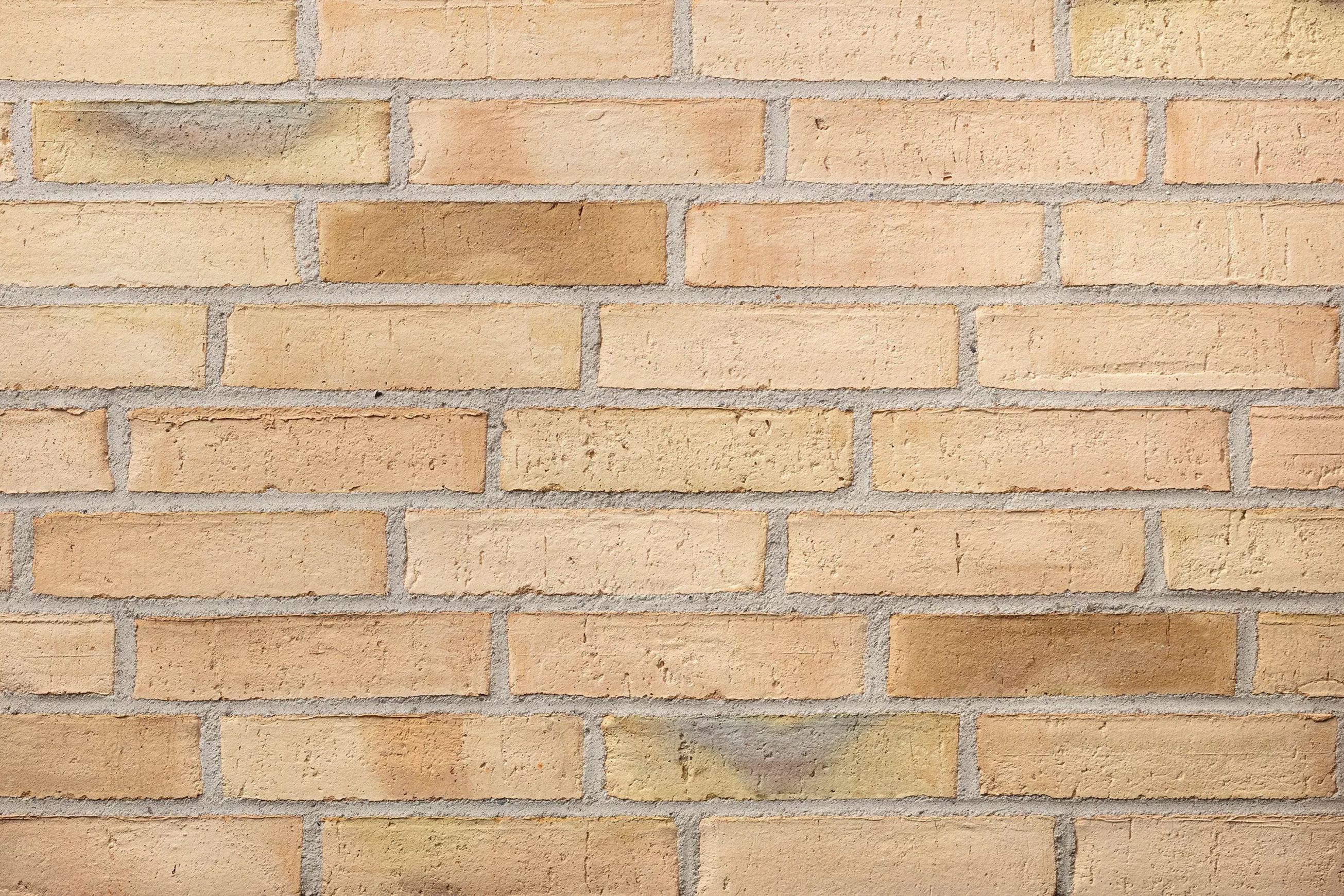 Petersen Danish Bricks