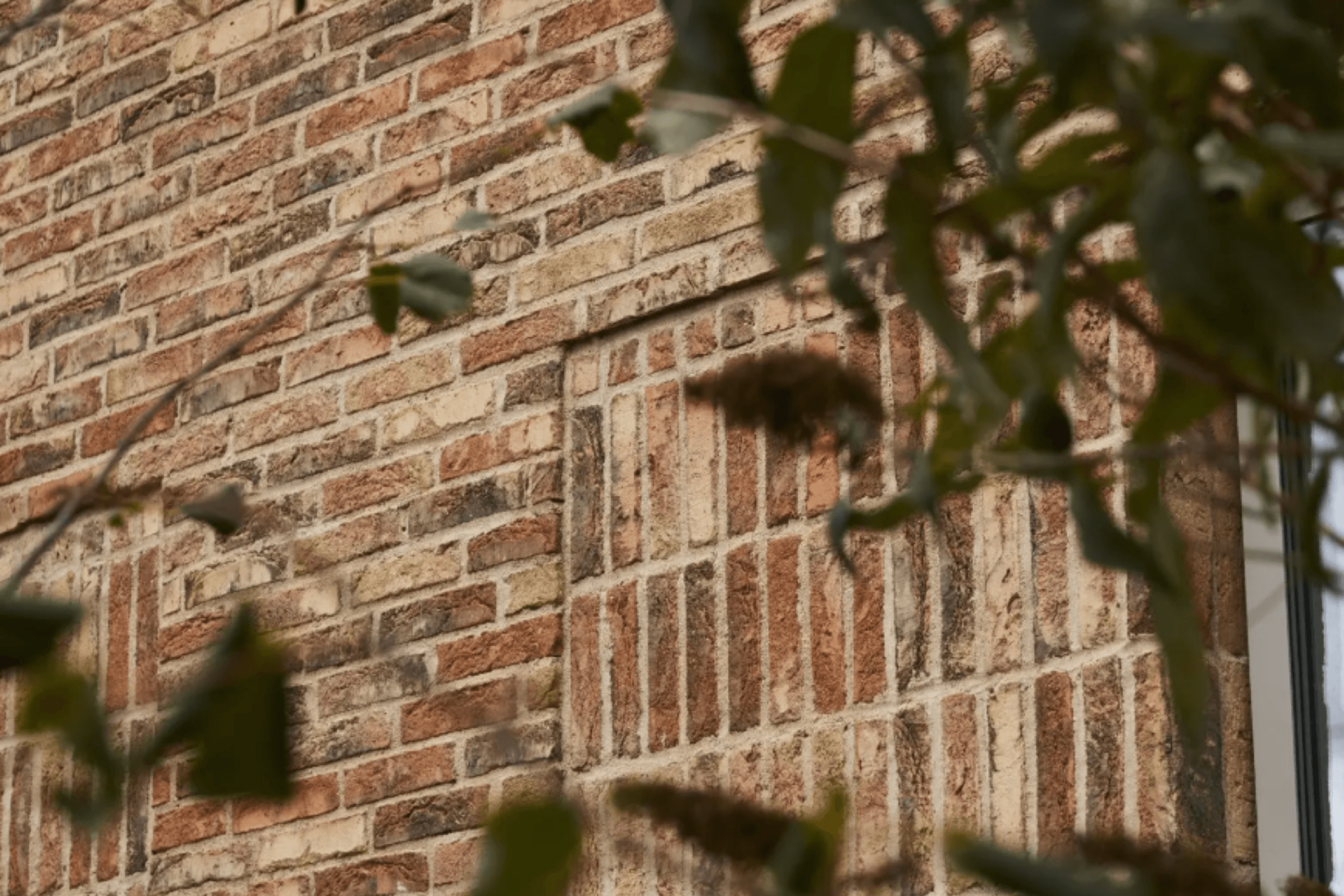 Safari | Bricks