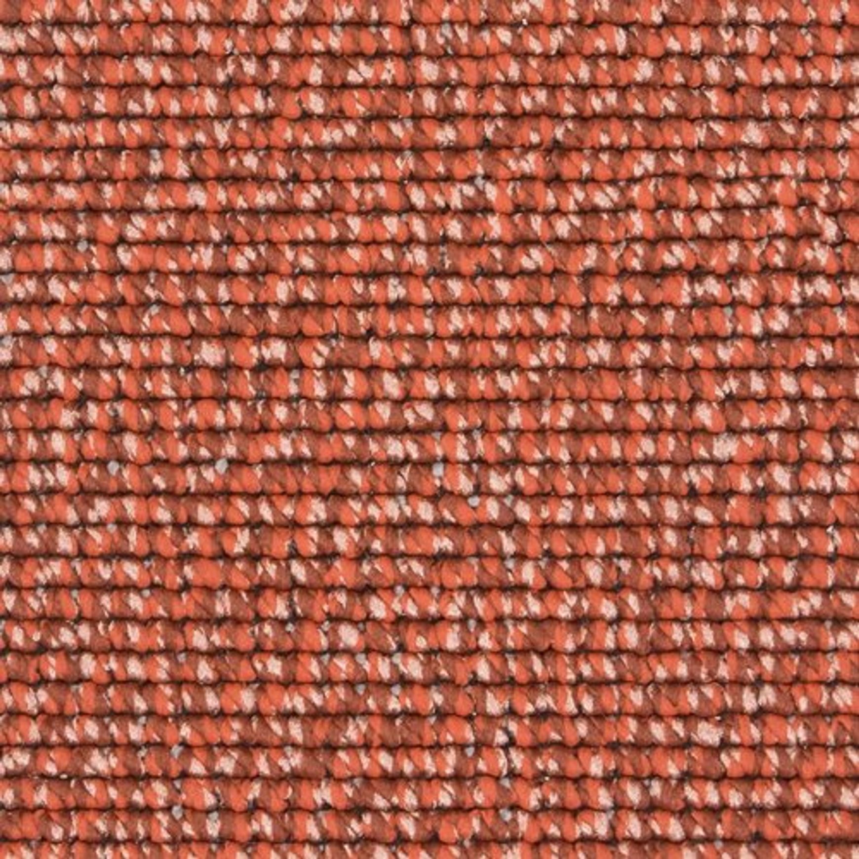 2404