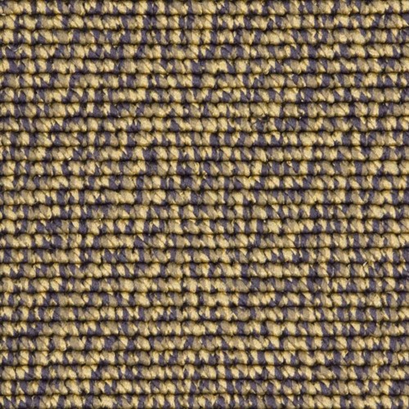 2404