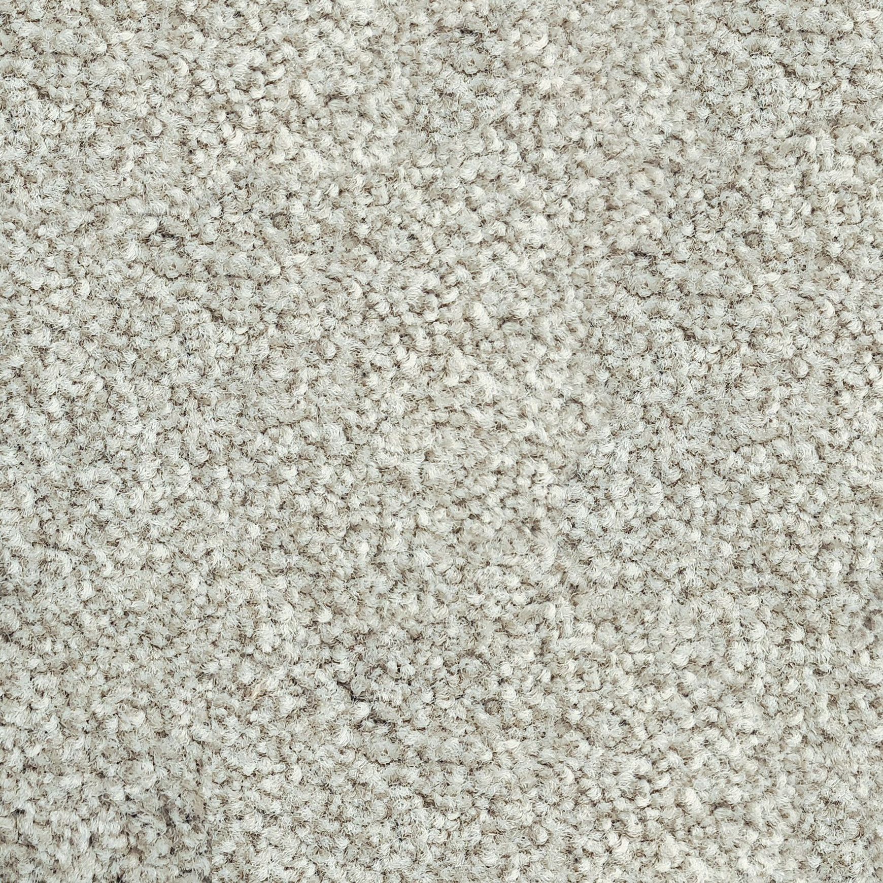 Forest Grove by Belgotex | Carpet