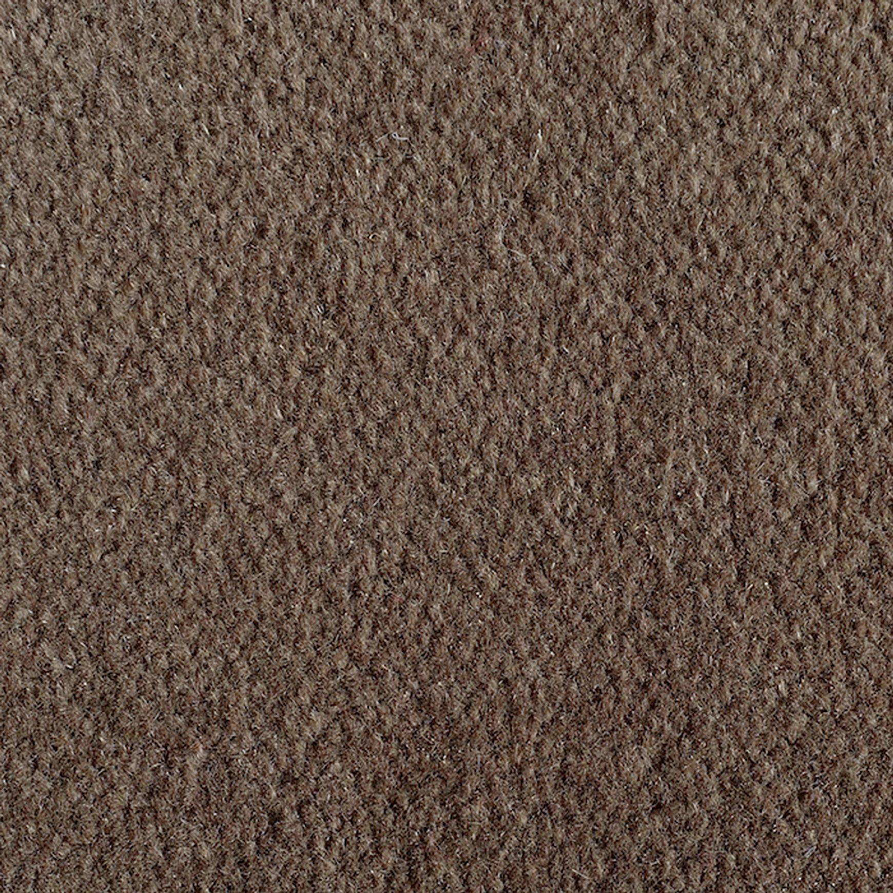 Seidler Solid Colour Axminster | Carpet Flooring