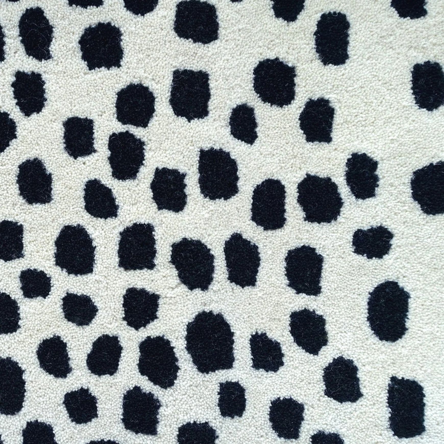 Tapis Absolute