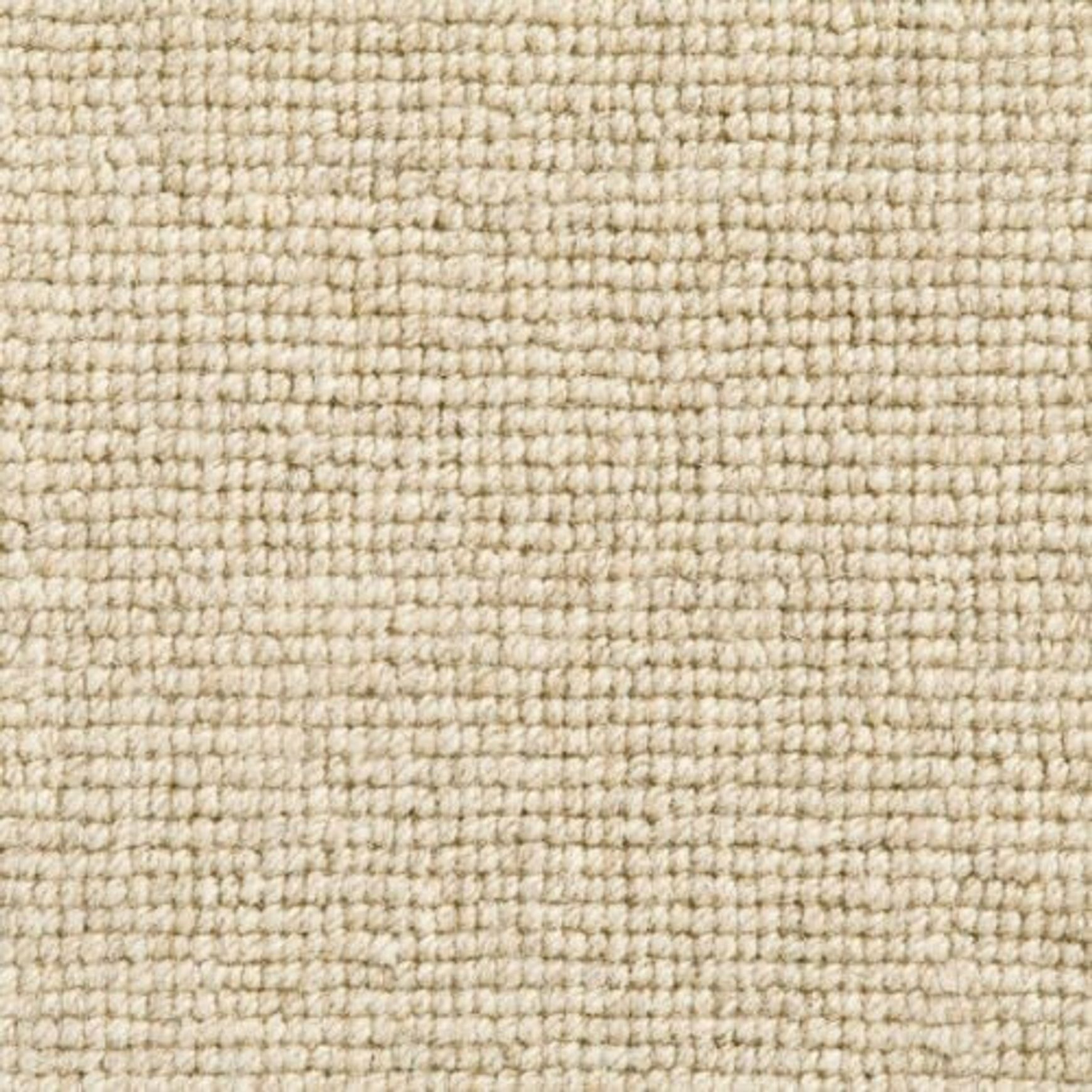 Daiya Rug