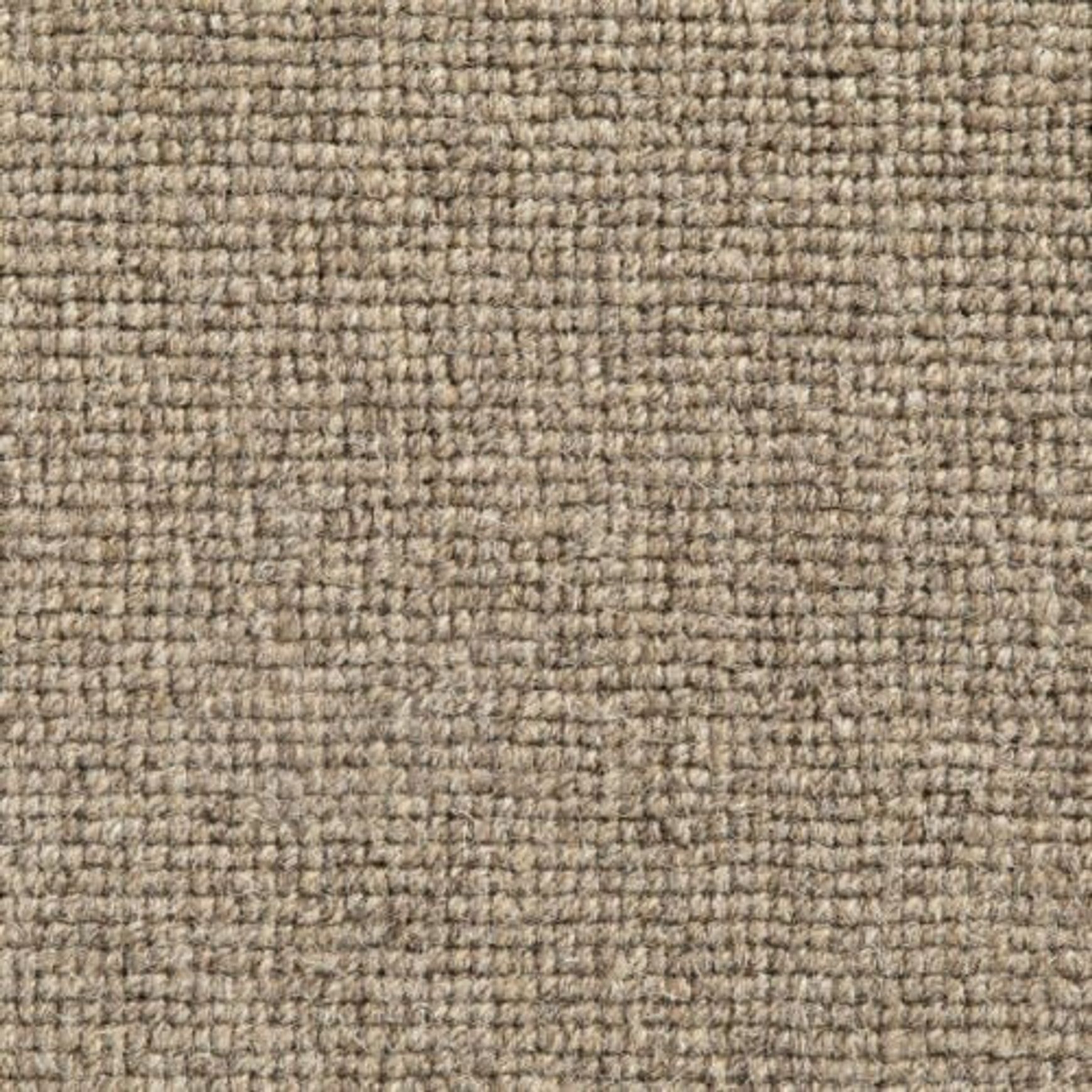 Daiya Rug