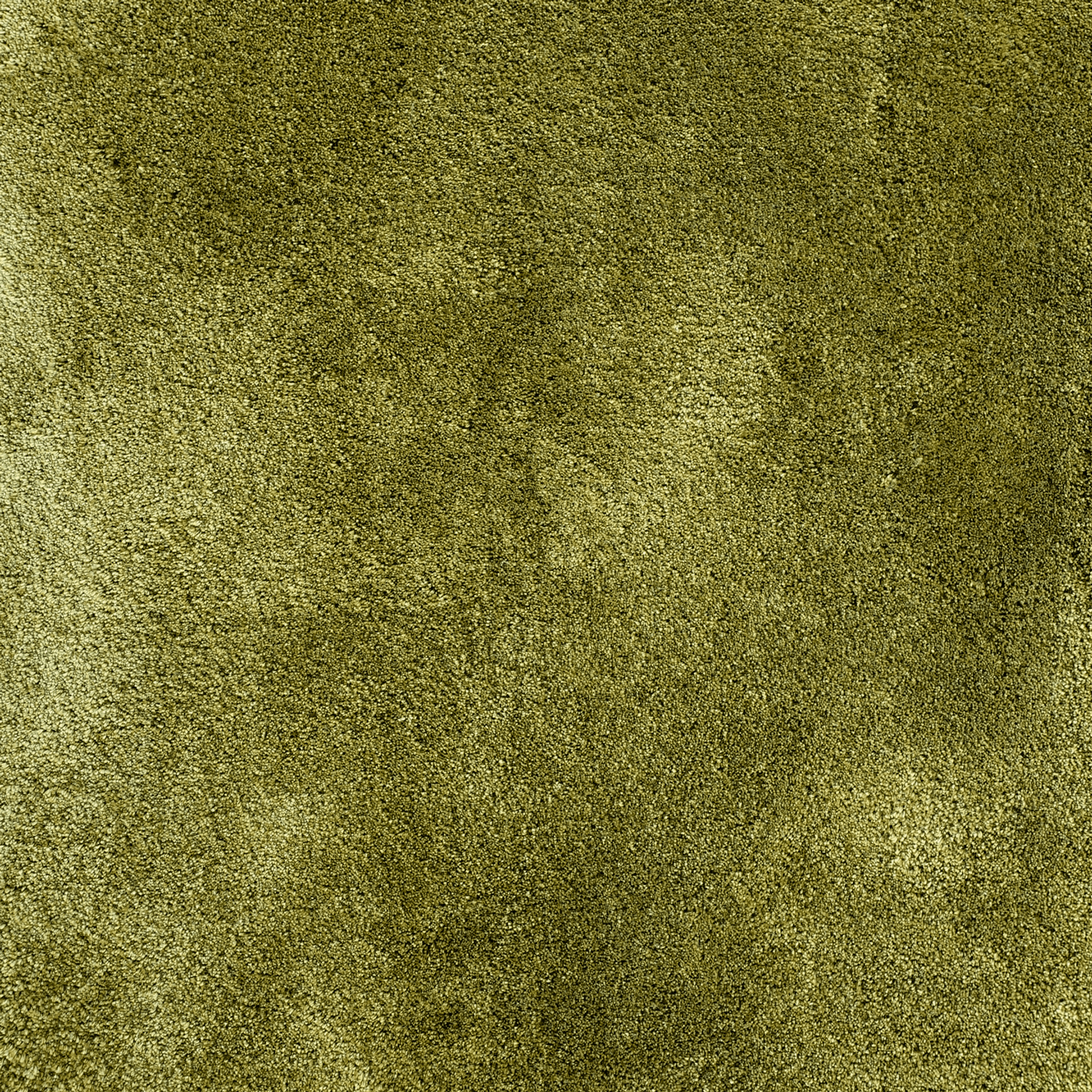 Tapis Absolute