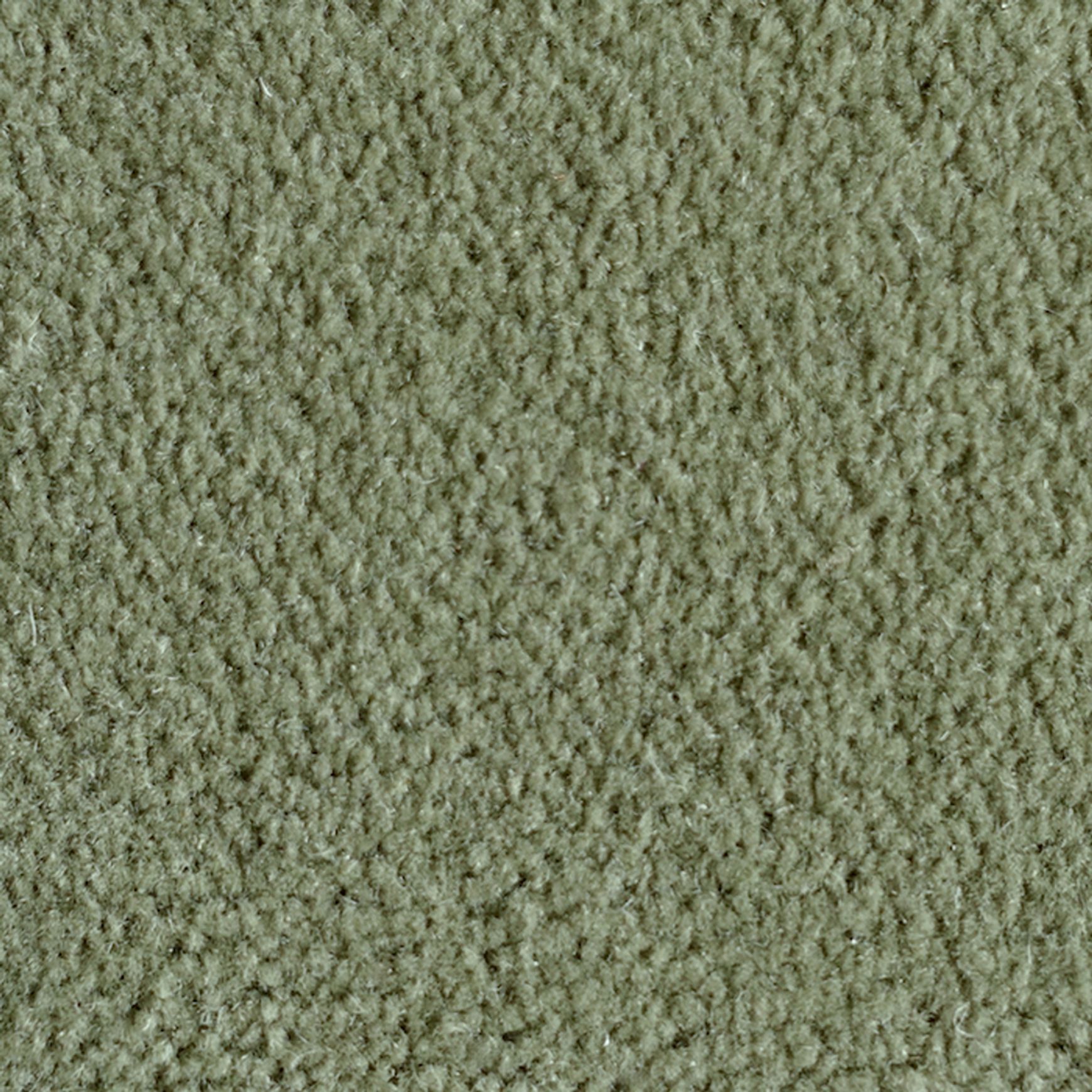 Seidler Solid Colour Axminster | Carpet Flooring