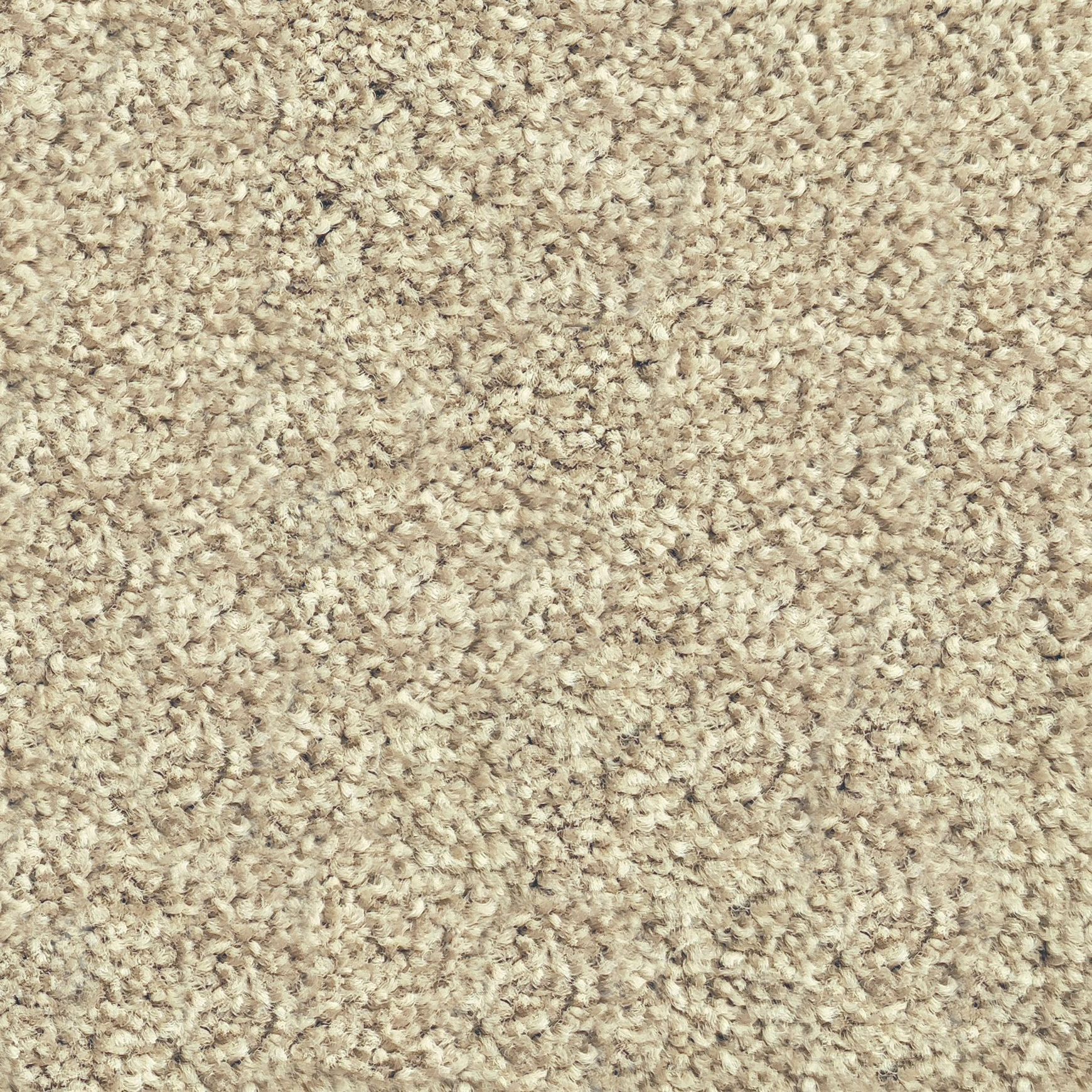 Riverside Reserve by Belgotex | Carpet