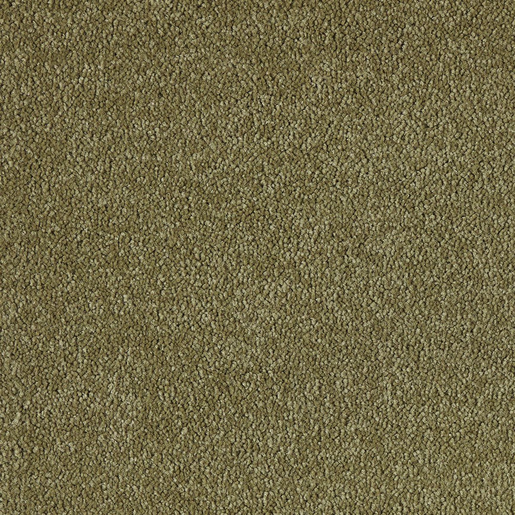 Westminster | Premium SDN
