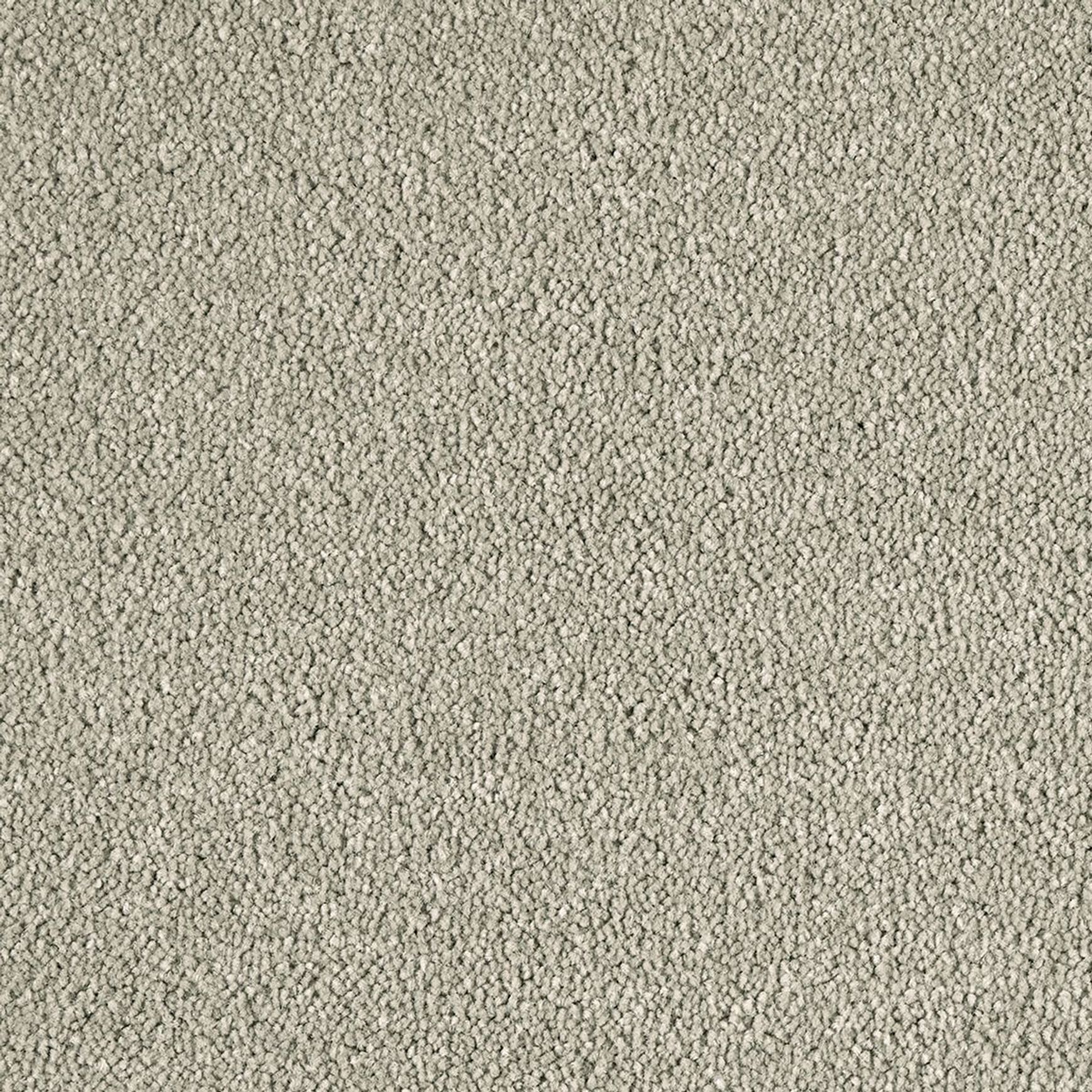 Westminster | Premium SDN