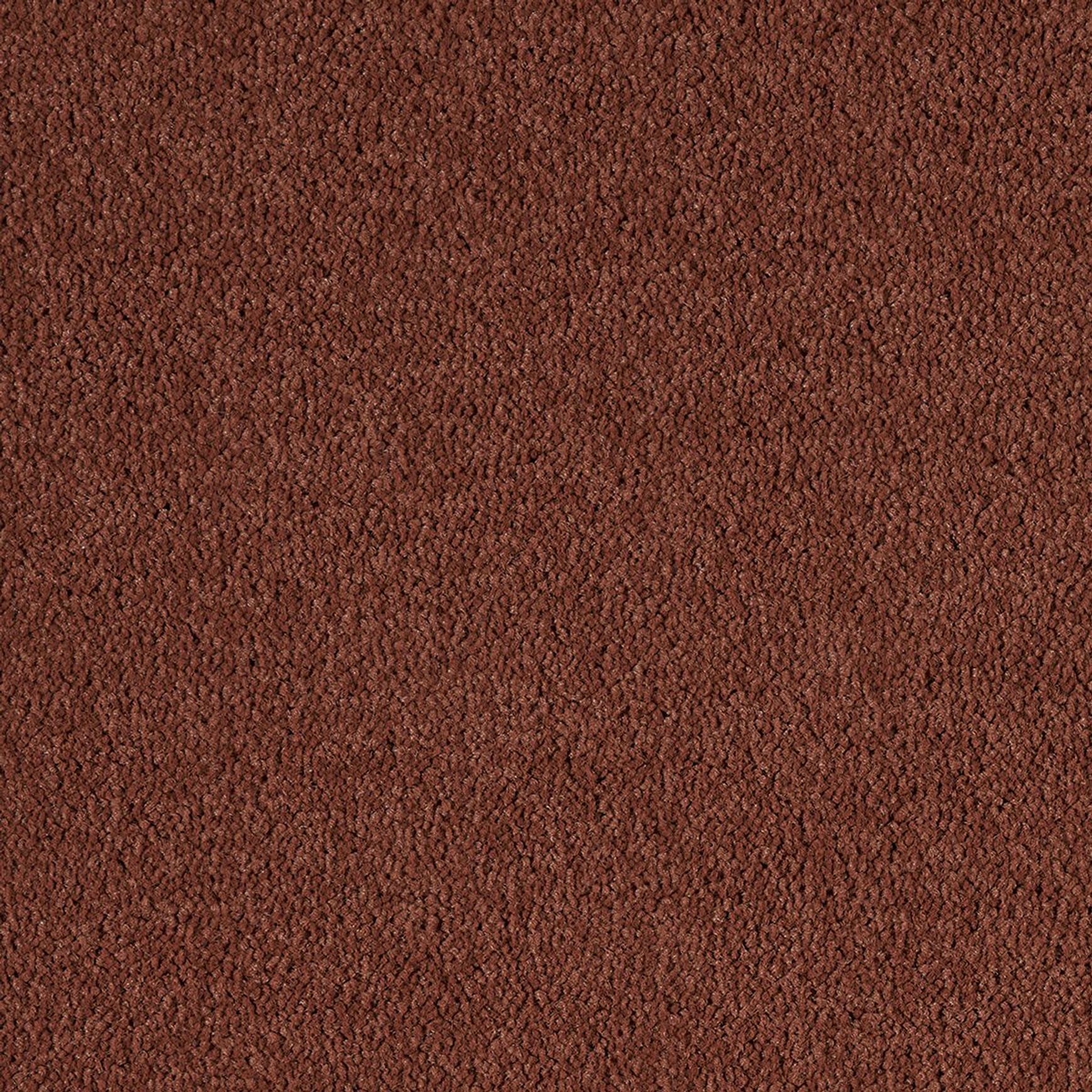 Westminster | Premium SDN