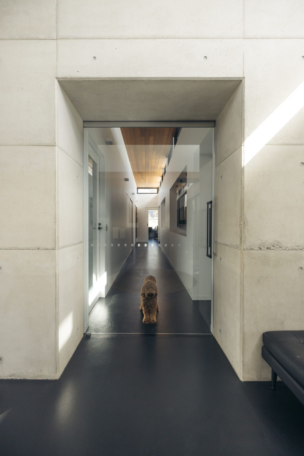 Frameless Glass Cavity Sliding Doors