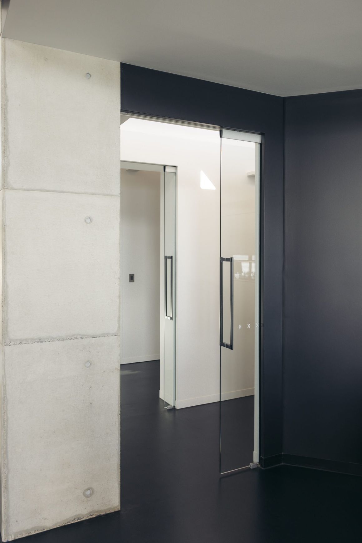 Frameless Glass Cavity Sliding Doors