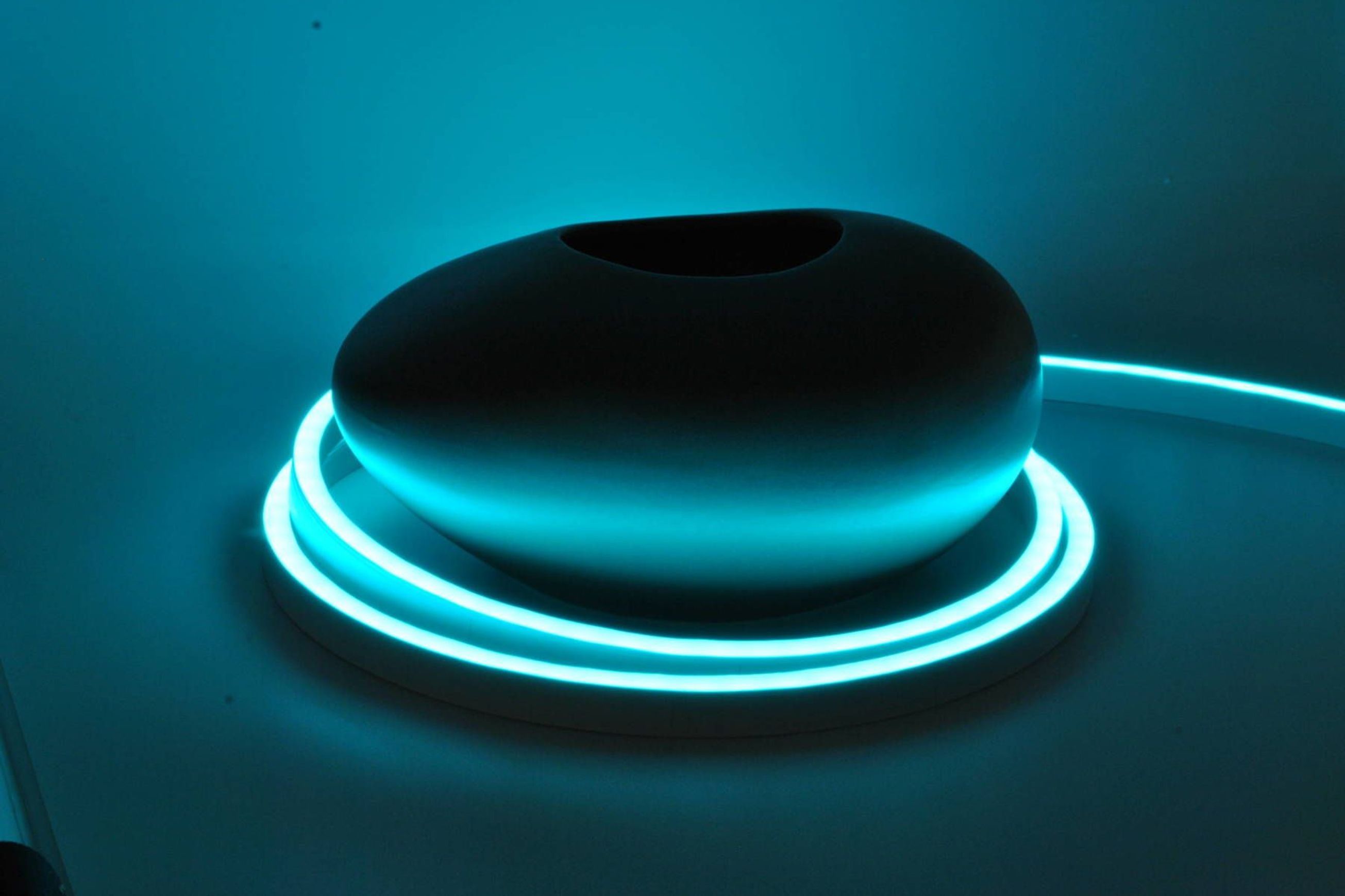 Python Snake Light