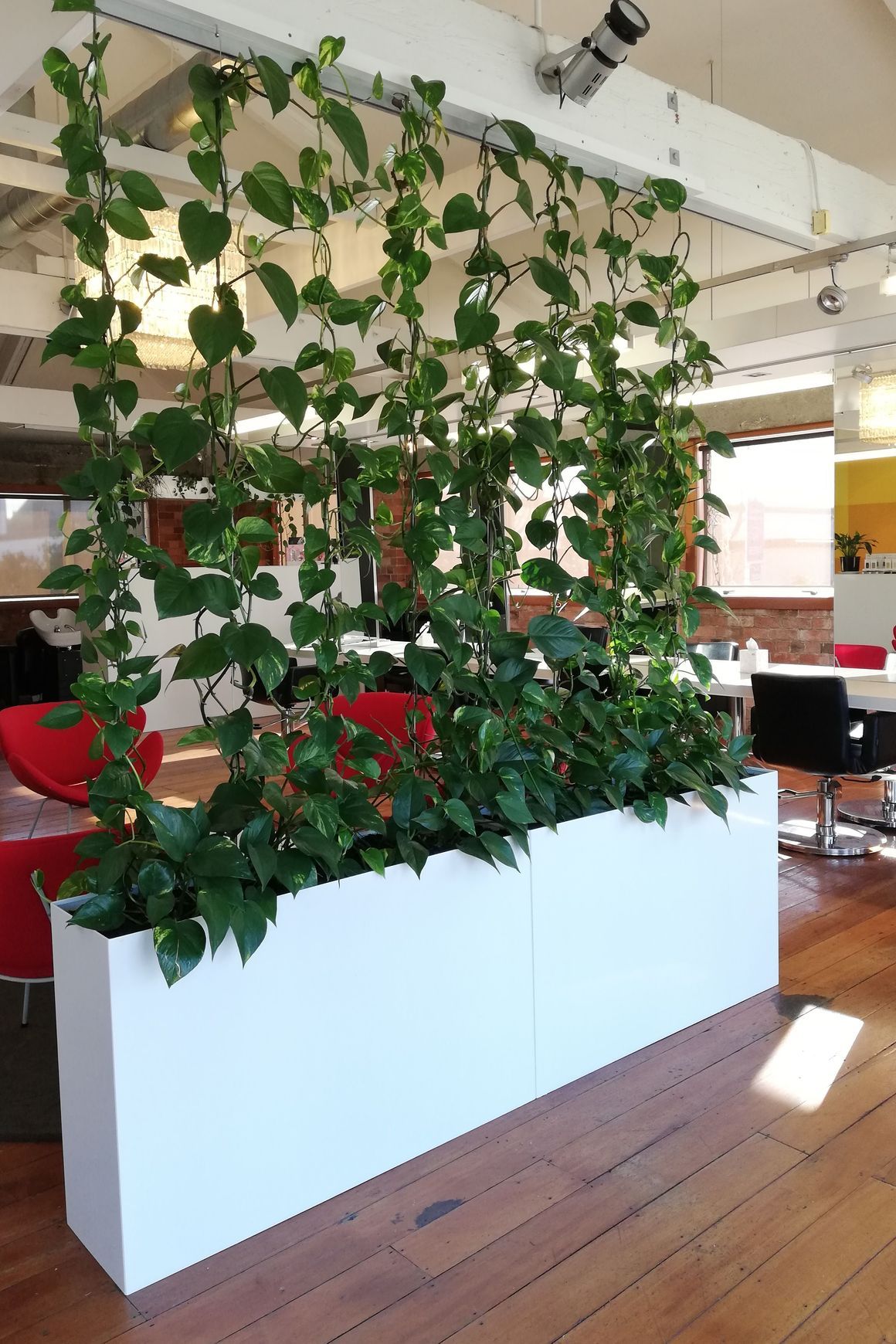 Vertical Live Plant Installations | Hire Plants