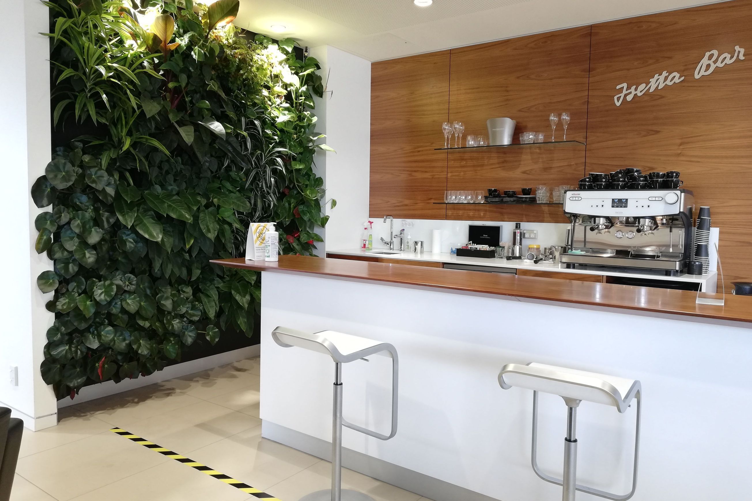 Vertical Live Plant Installations | Hire Plants