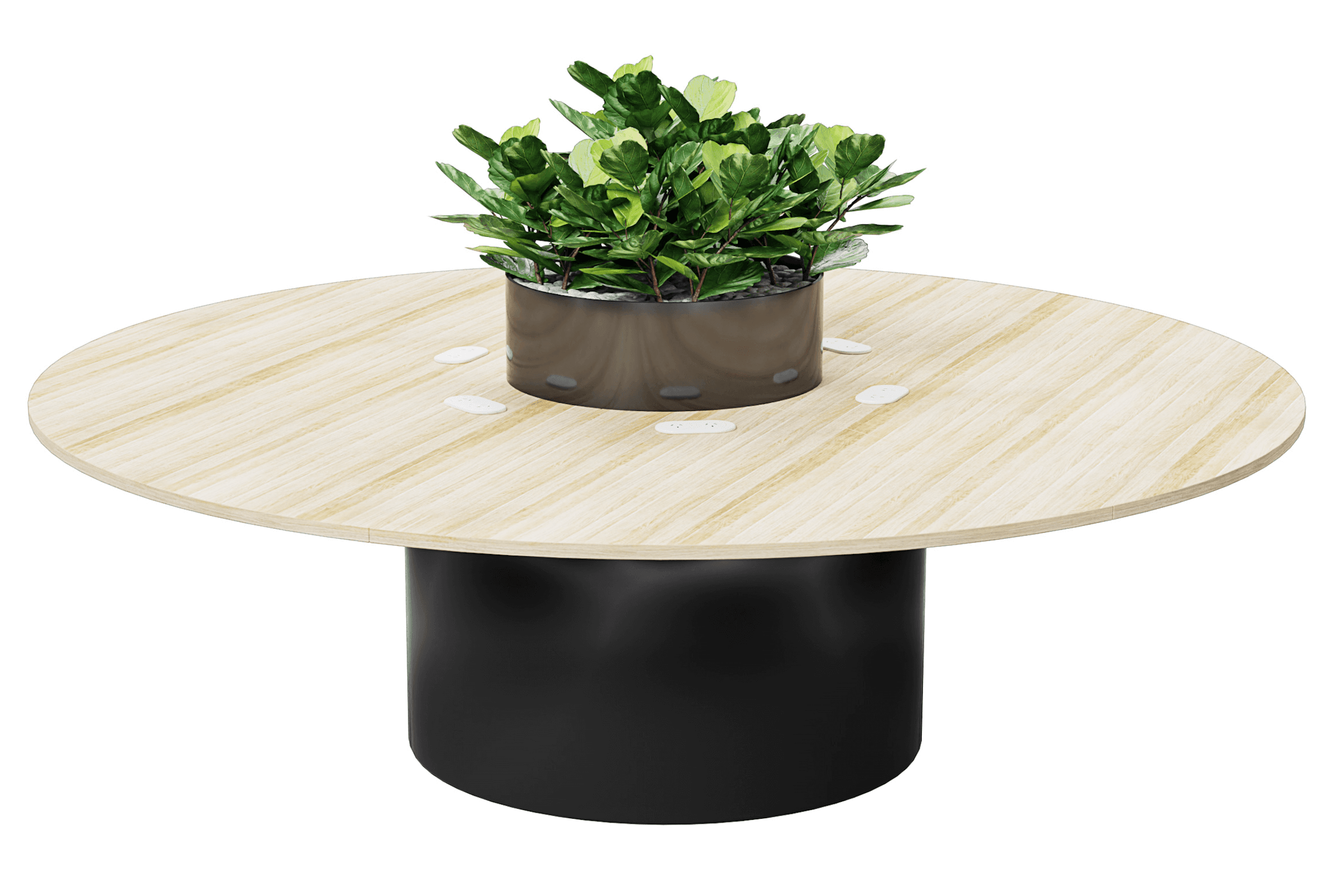 Telopea Meeting Table 2