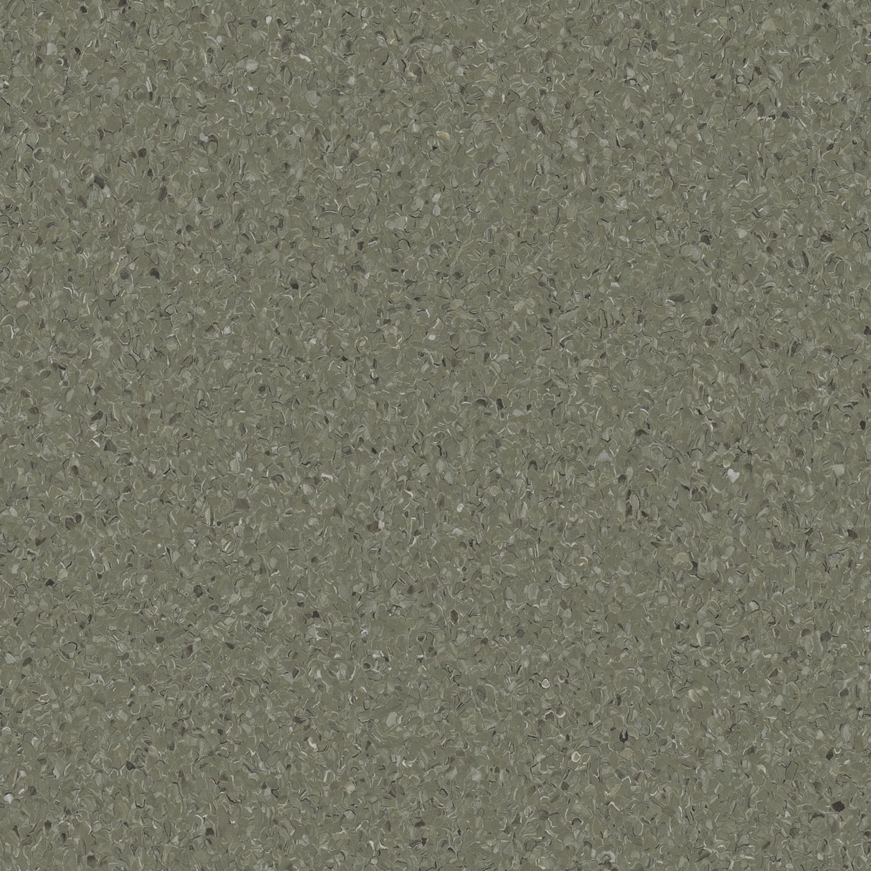 Accolade Plus | Mangrove