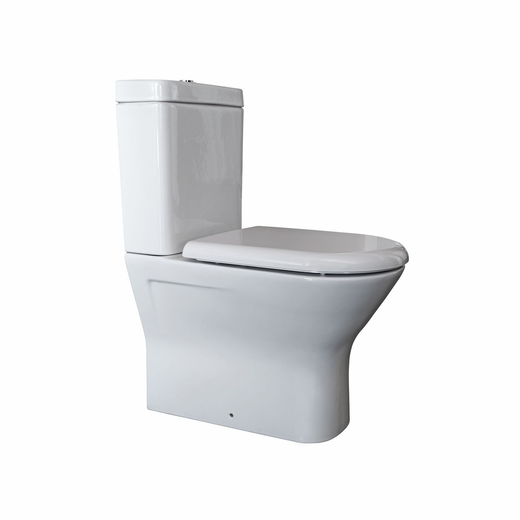 Resort Vandal Resistant Rimless Wall Faced Toilet Suite